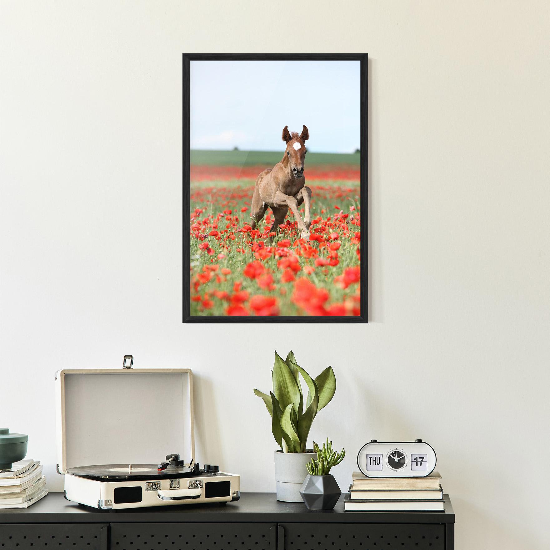 Poster Înrămat Red Flowers Horse mockup 2