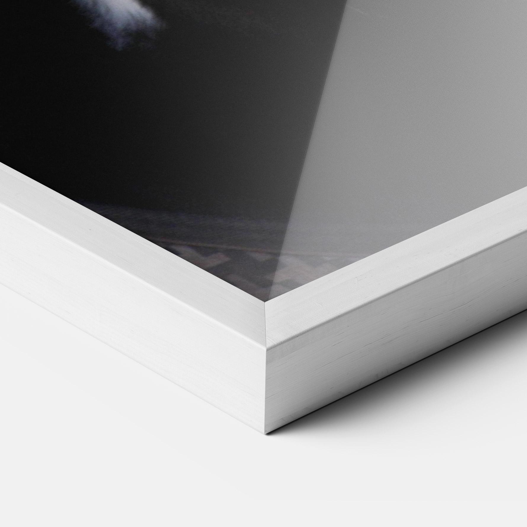 Poster Înrămat Horse Black Portrait mockup 3