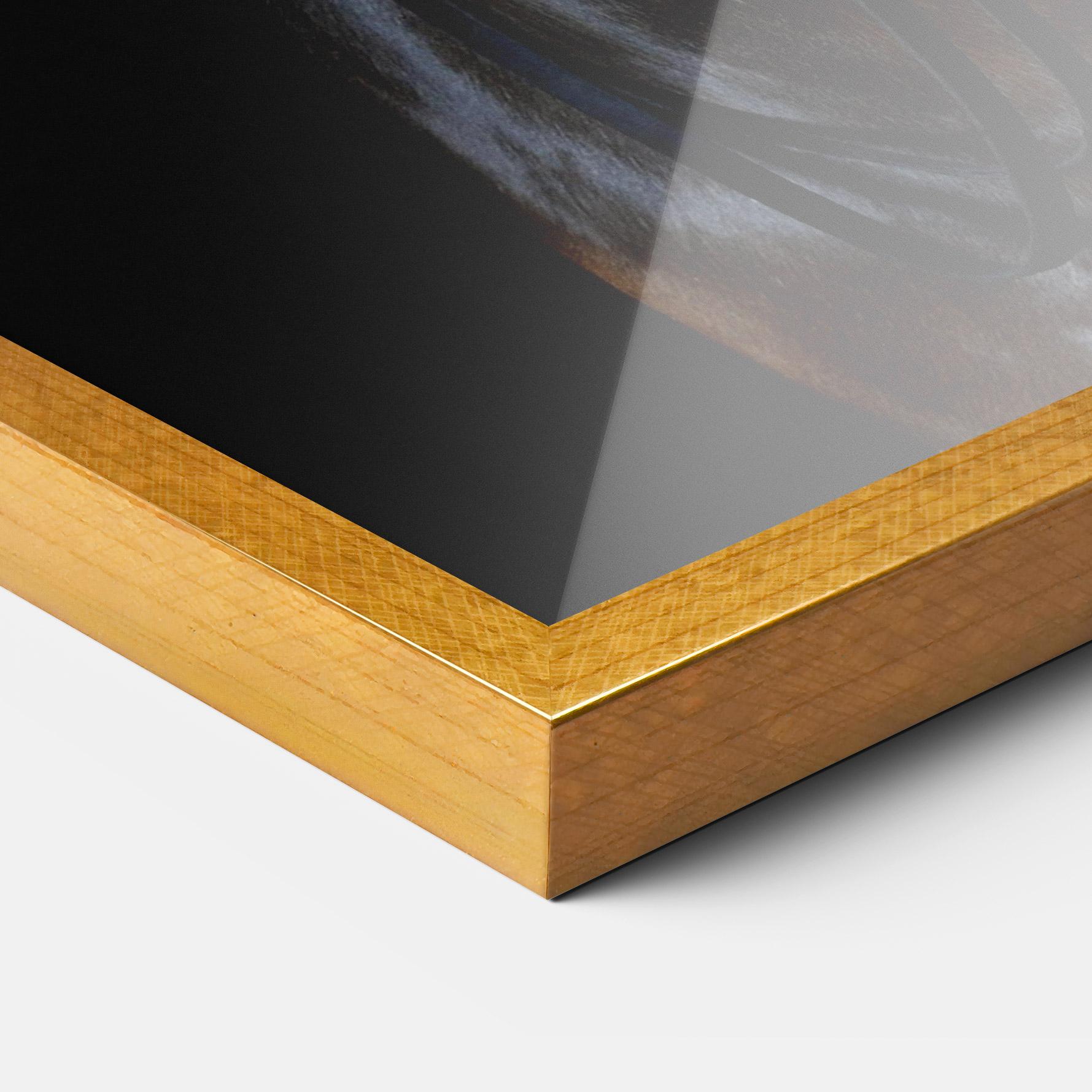 Poster Înrămat Brown Horse On Black mockup 3