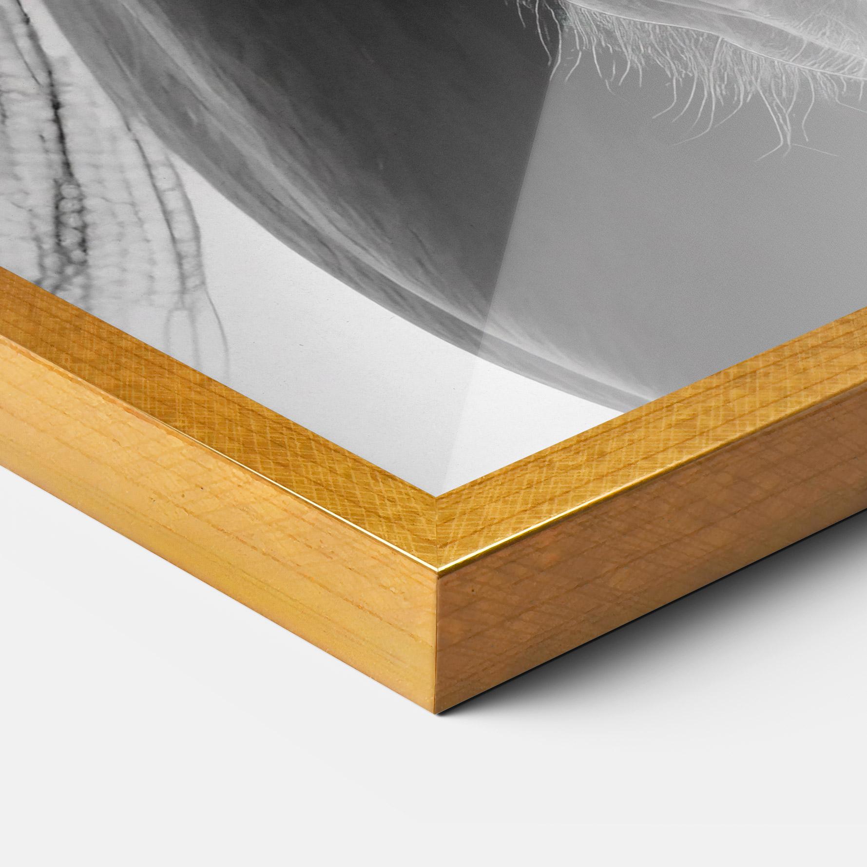 Poster Înrămat Close Up Horse mockup 3