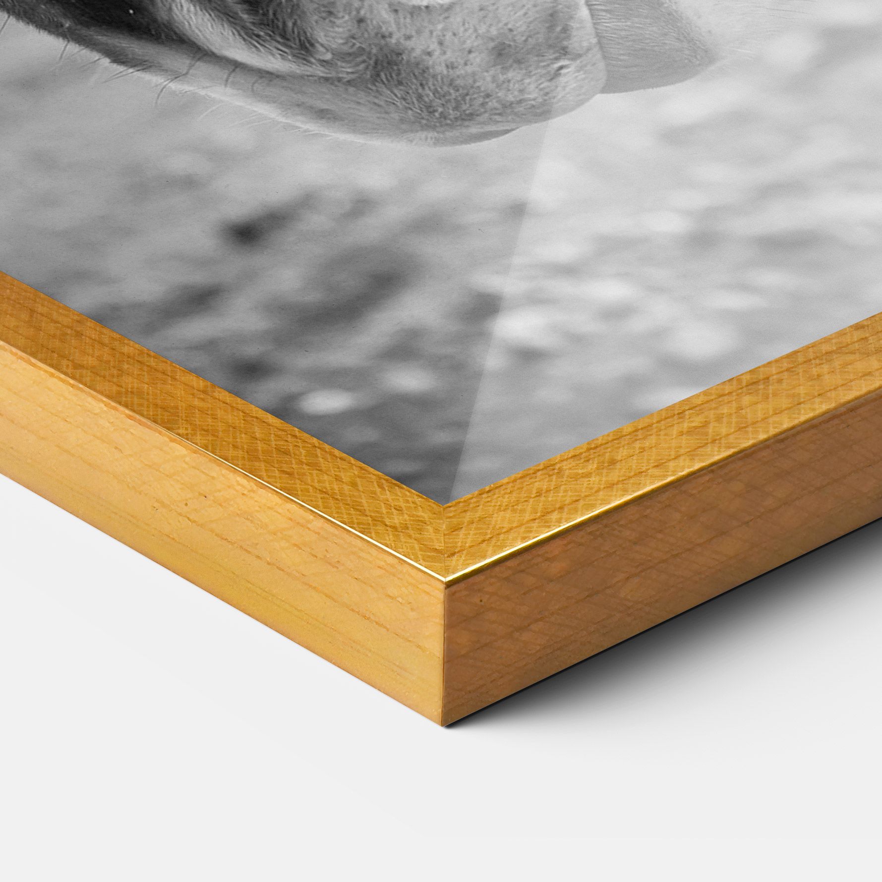 Gray Horse Head mockup 3