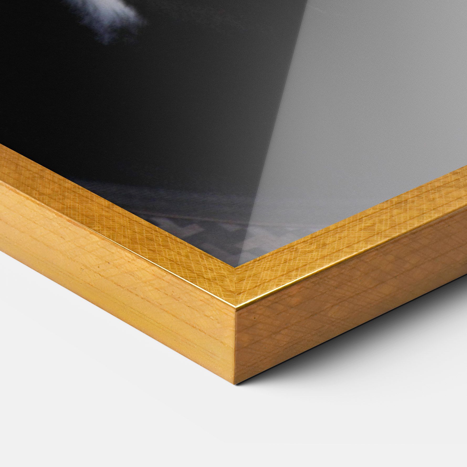 Horse Black Portrait mockup 3