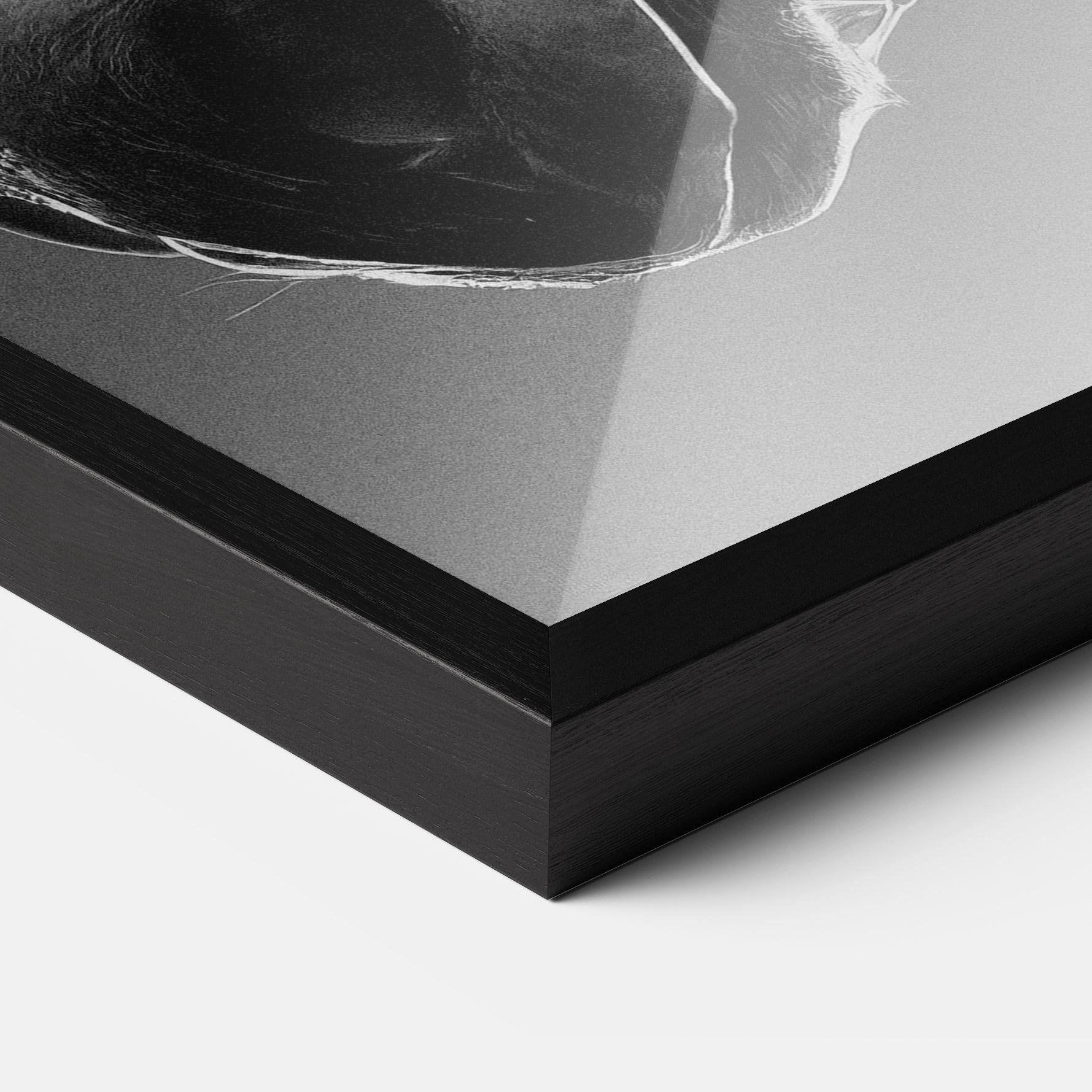 Poster Înrămat Black Horse Profile mockup 3