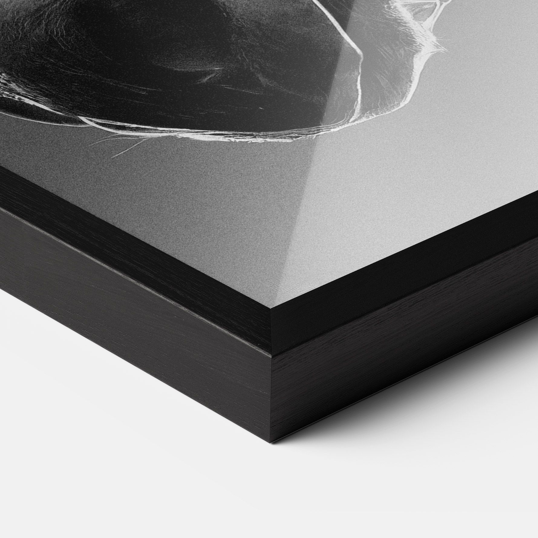 Black Horse Profile mockup 3