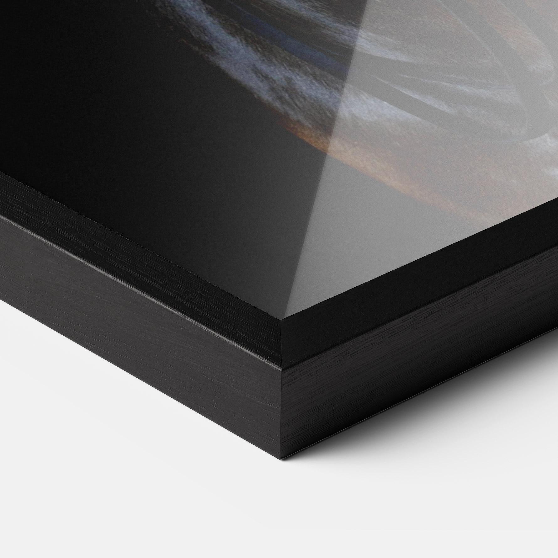 Poster Înrămat Brown Horse On Black mockup 3