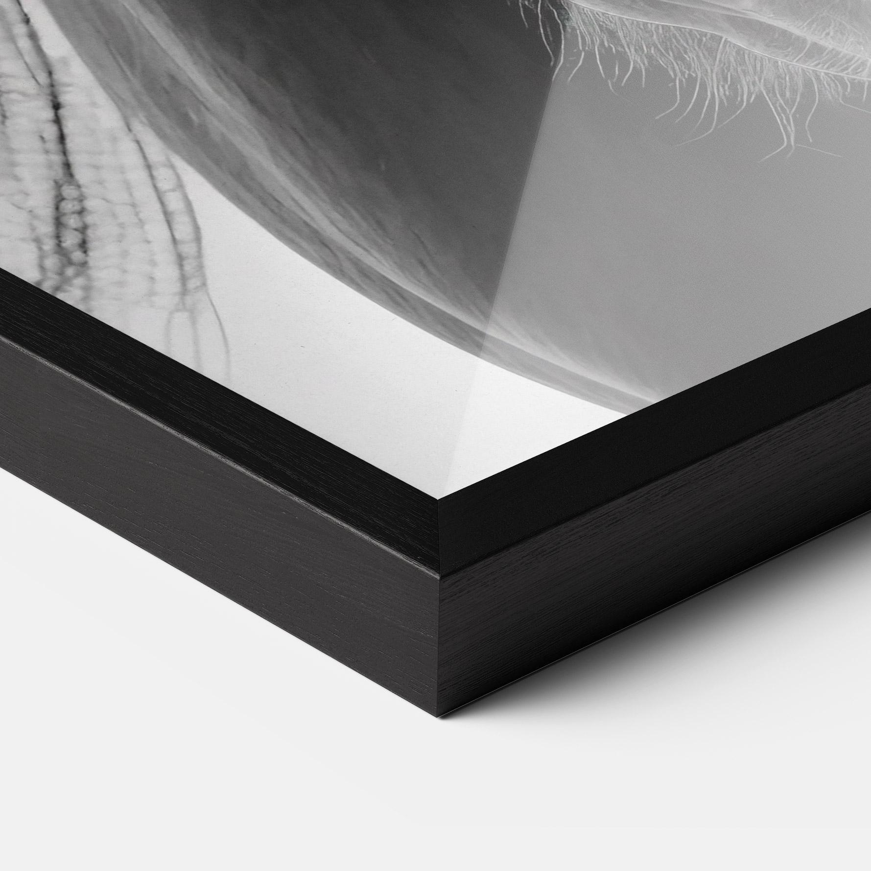 Poster Înrămat Close Up Horse mockup 3