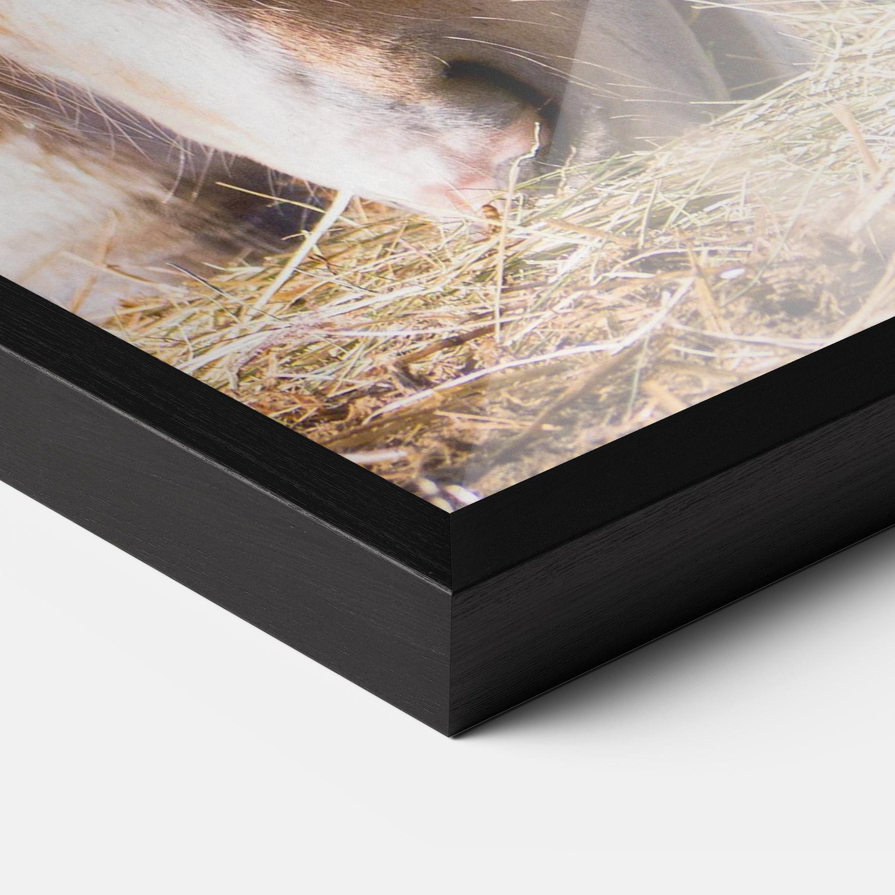 Poster Înrămat Cream Horse Eating mockup 3