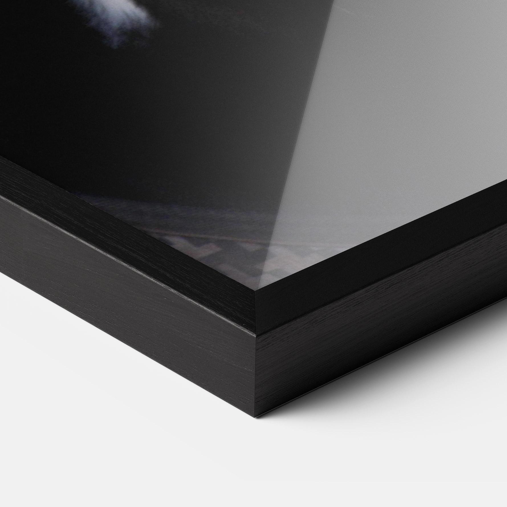 Poster Înrămat Horse Black Portrait mockup 3