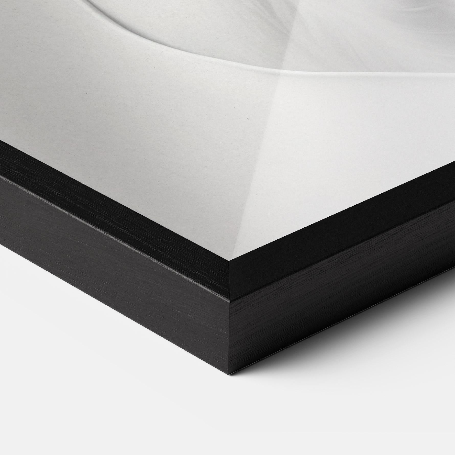 Poster Înrămat White Horse Portrait mockup 3