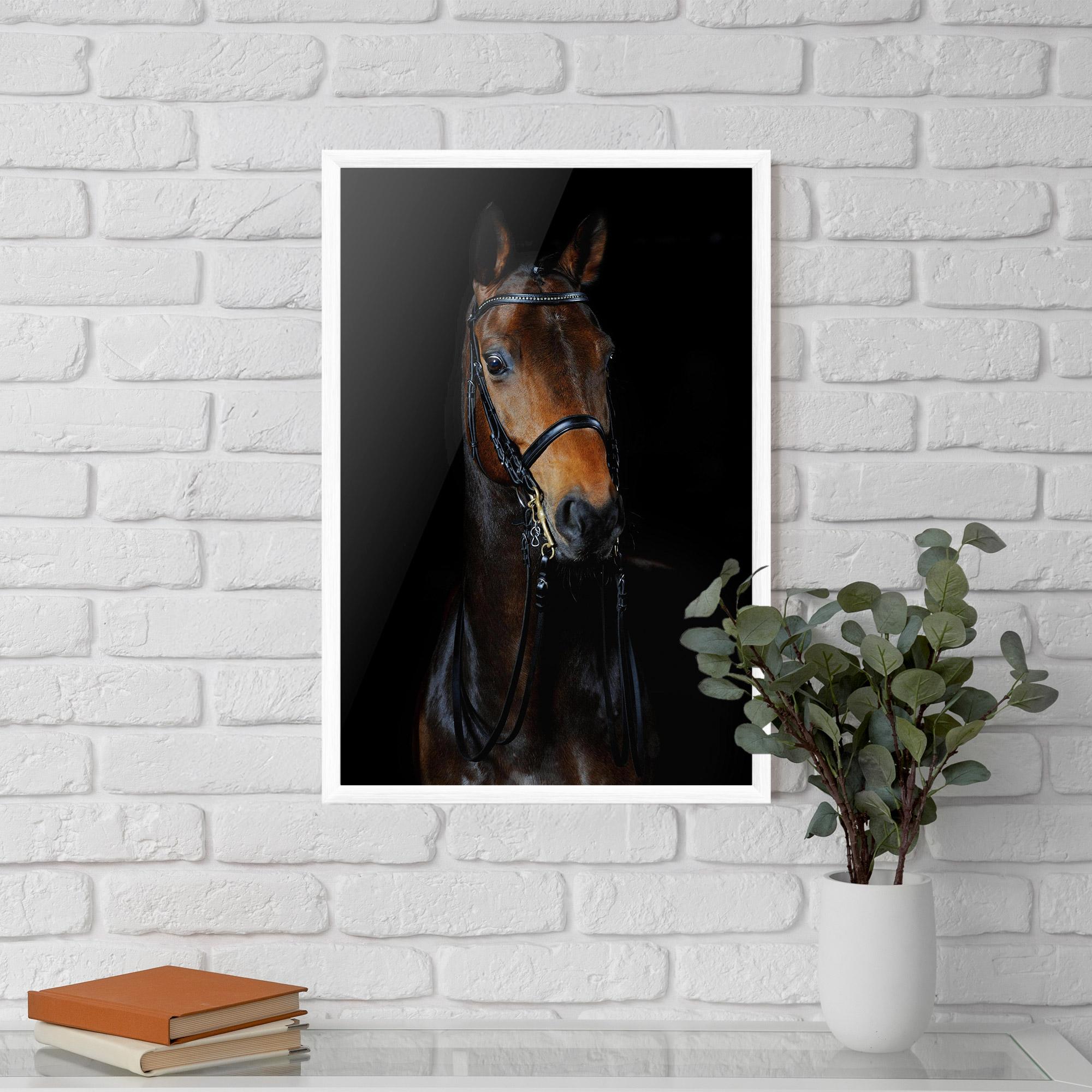 Poster Înrămat Brown Horse On Black mockup 5