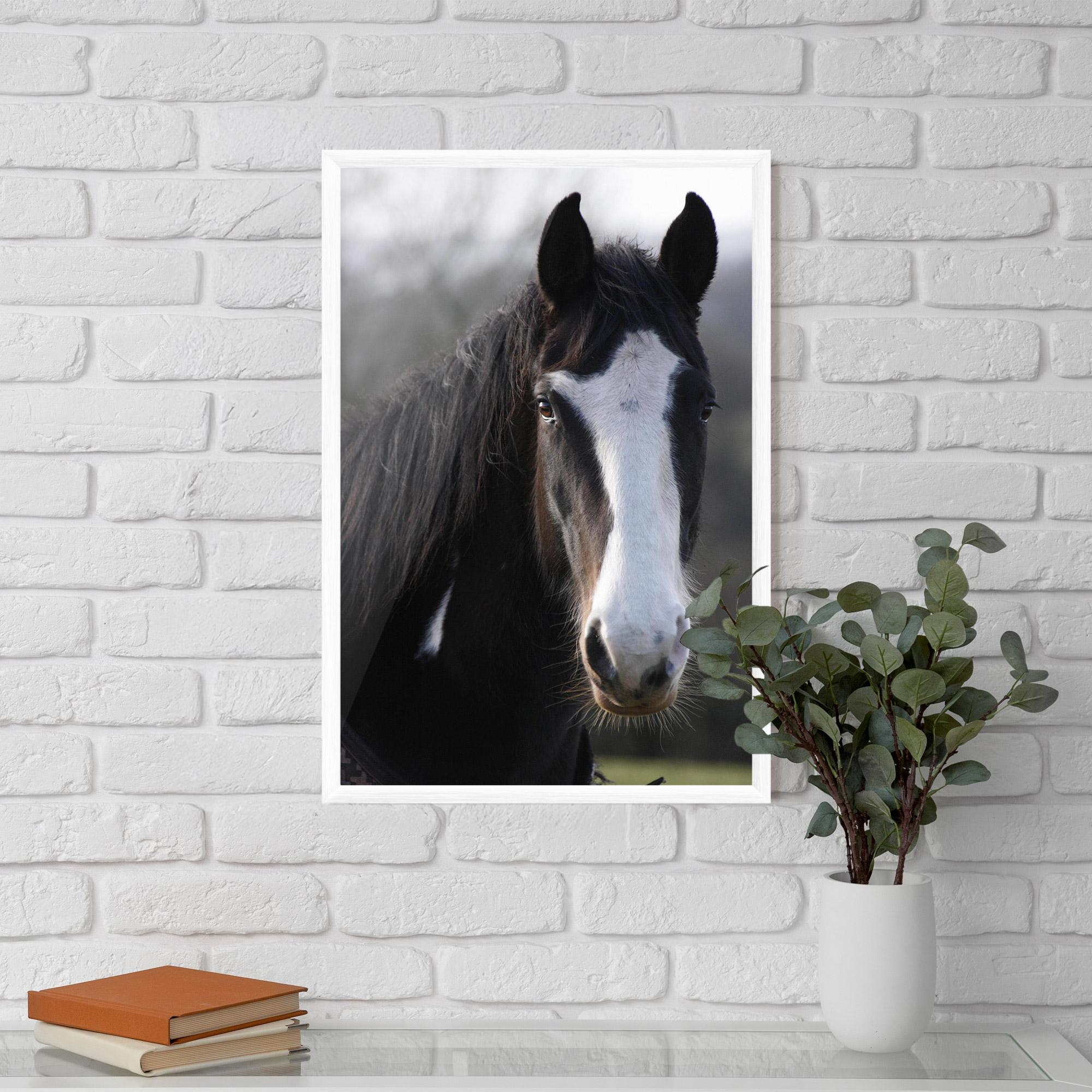 Poster Înrămat Horse Black Portrait mockup 5