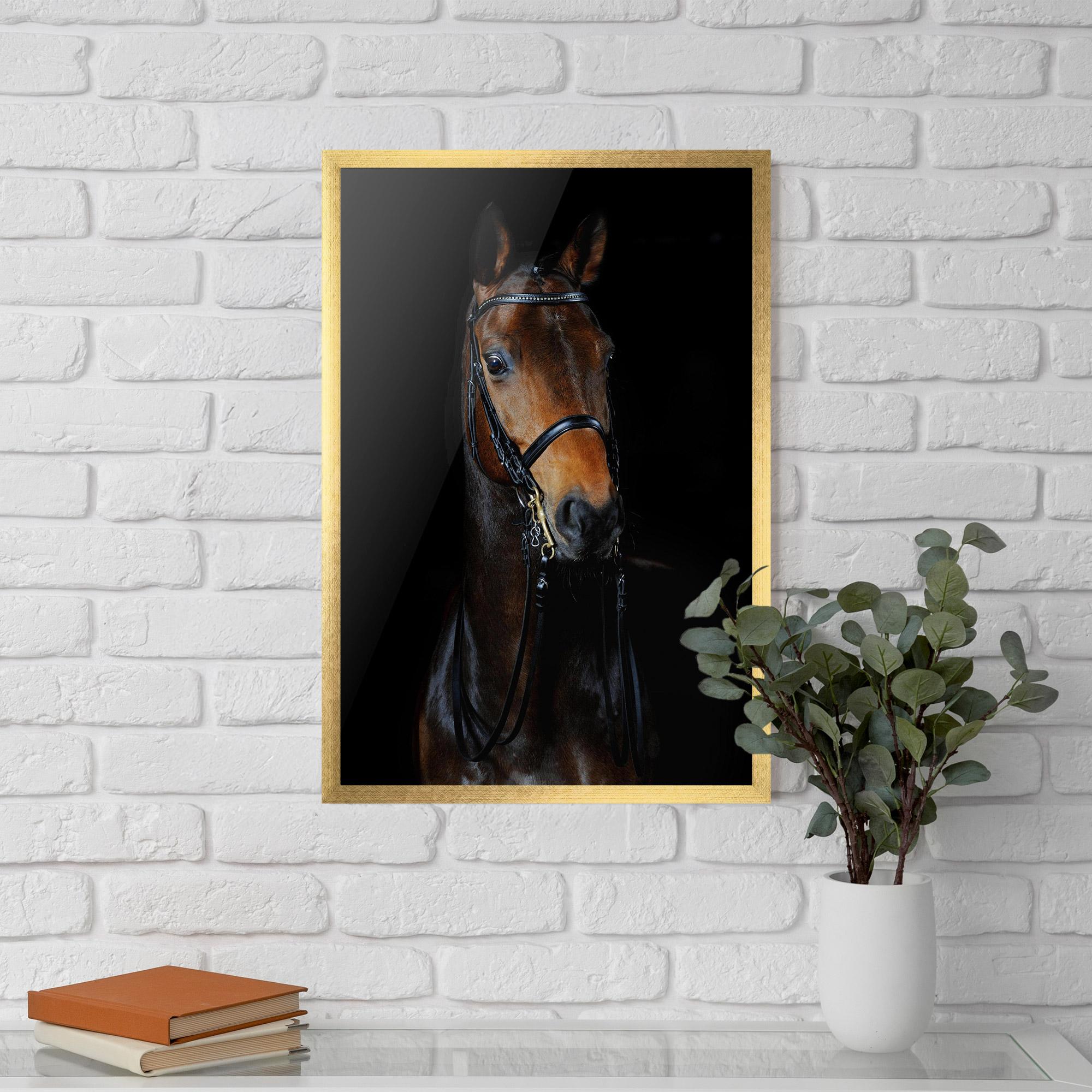 Poster Înrămat Brown Horse On Black mockup 5