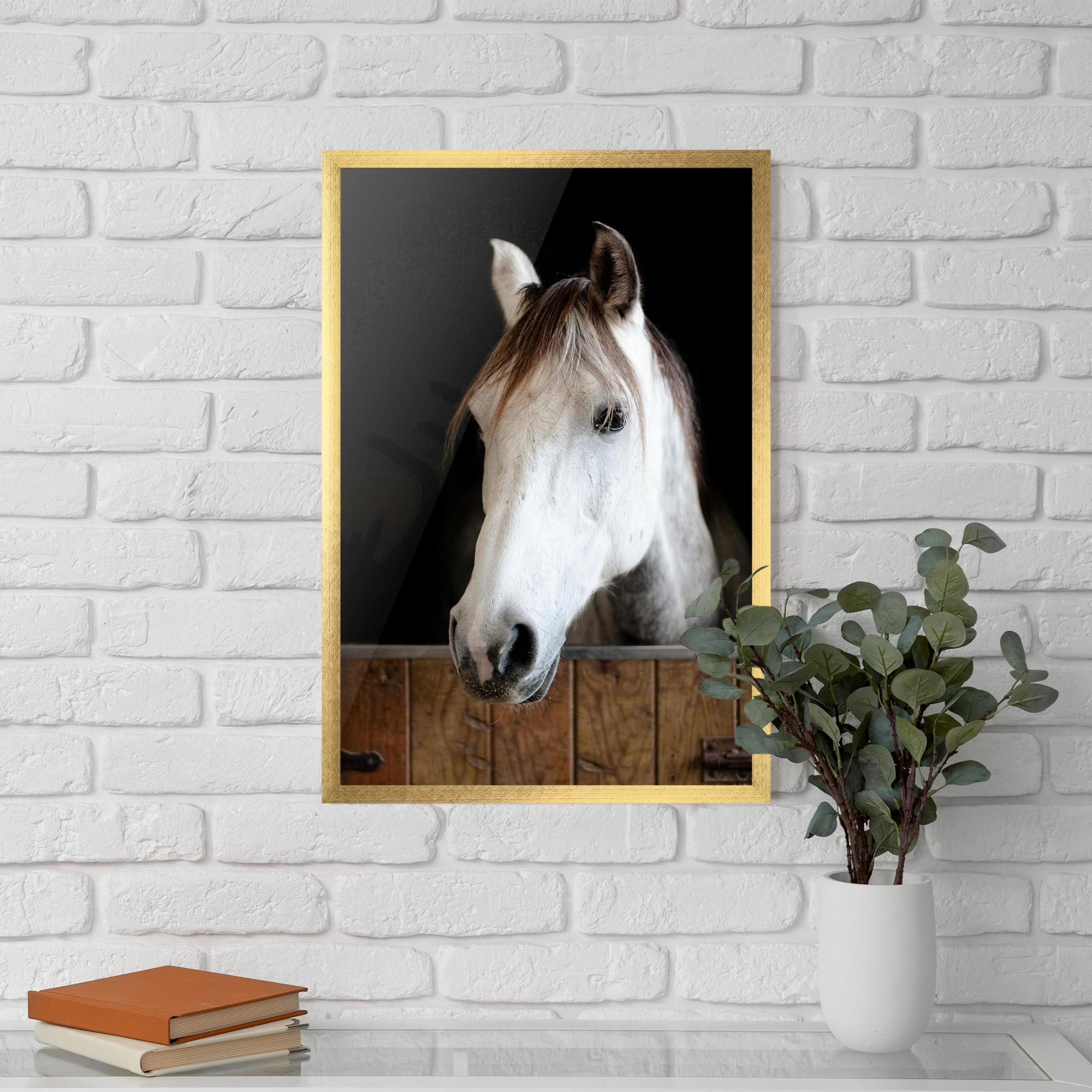 Poster Înrămat Grey Horse Head mockup 5