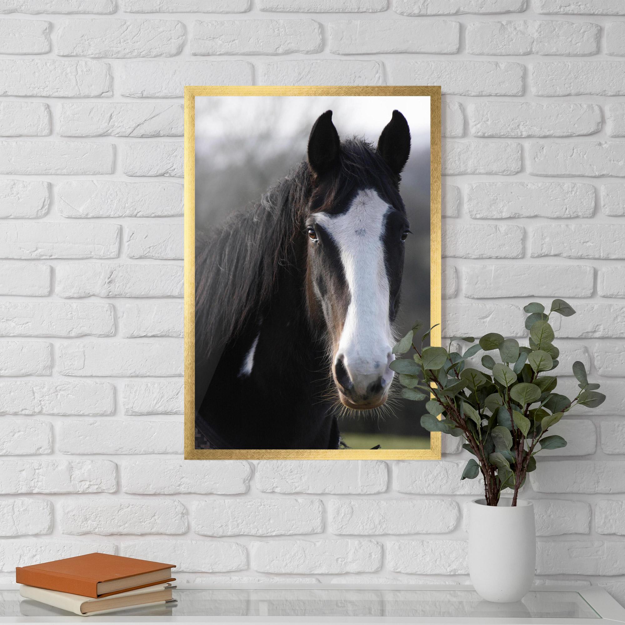 Poster Înrămat Horse Black Portrait mockup 5