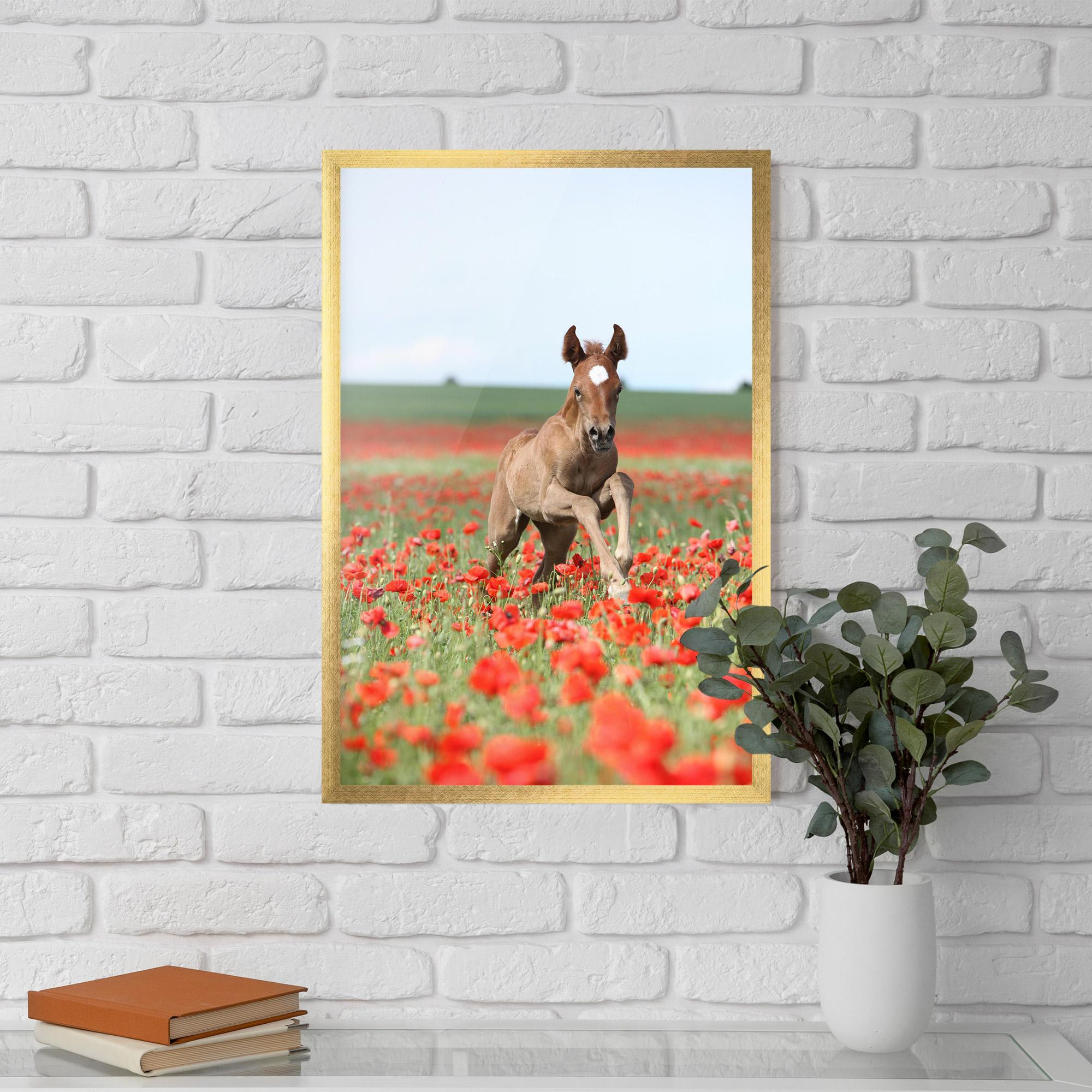 Poster Înrămat Red Flowers Horse mockup 5
