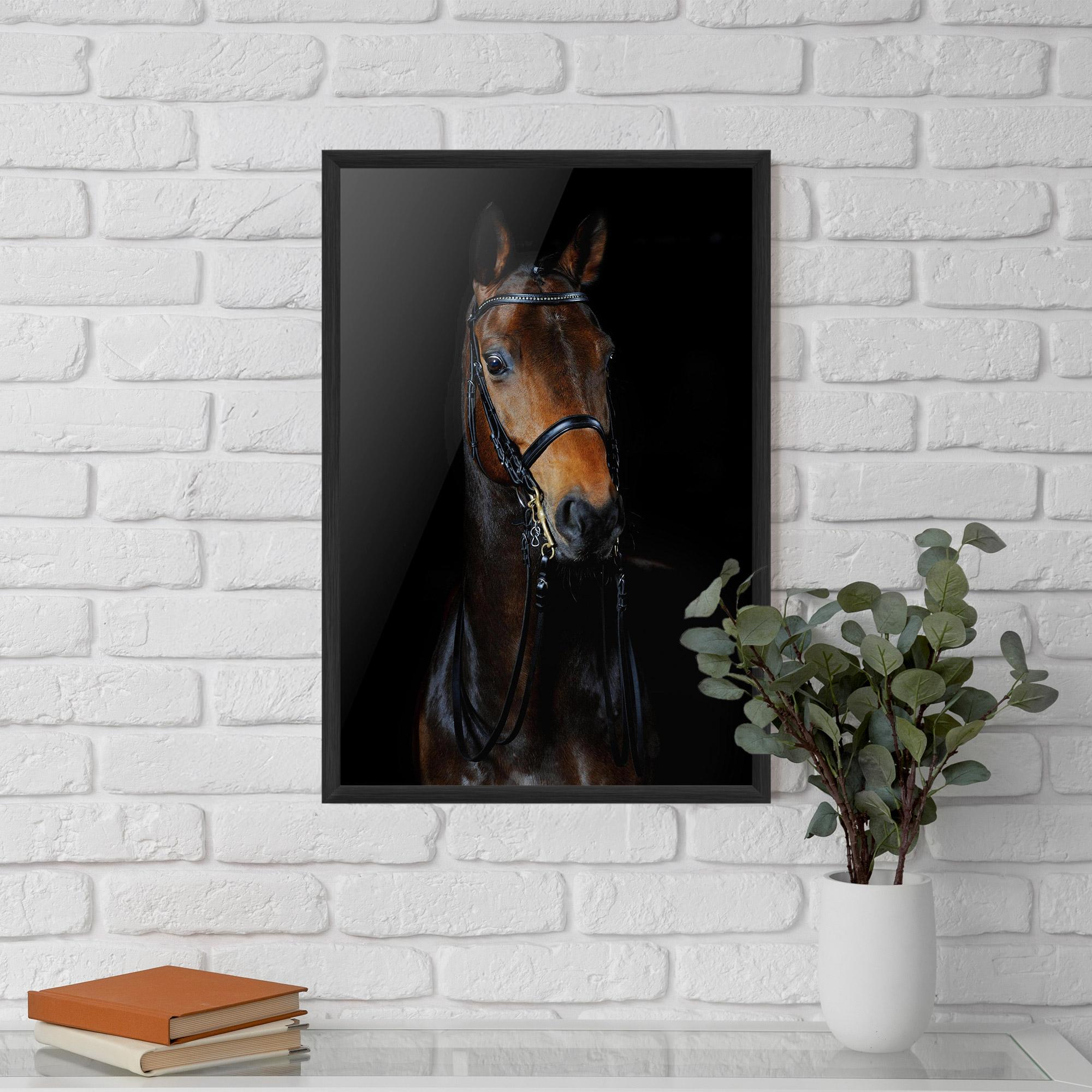 Poster Înrămat Brown Horse On Black mockup 5