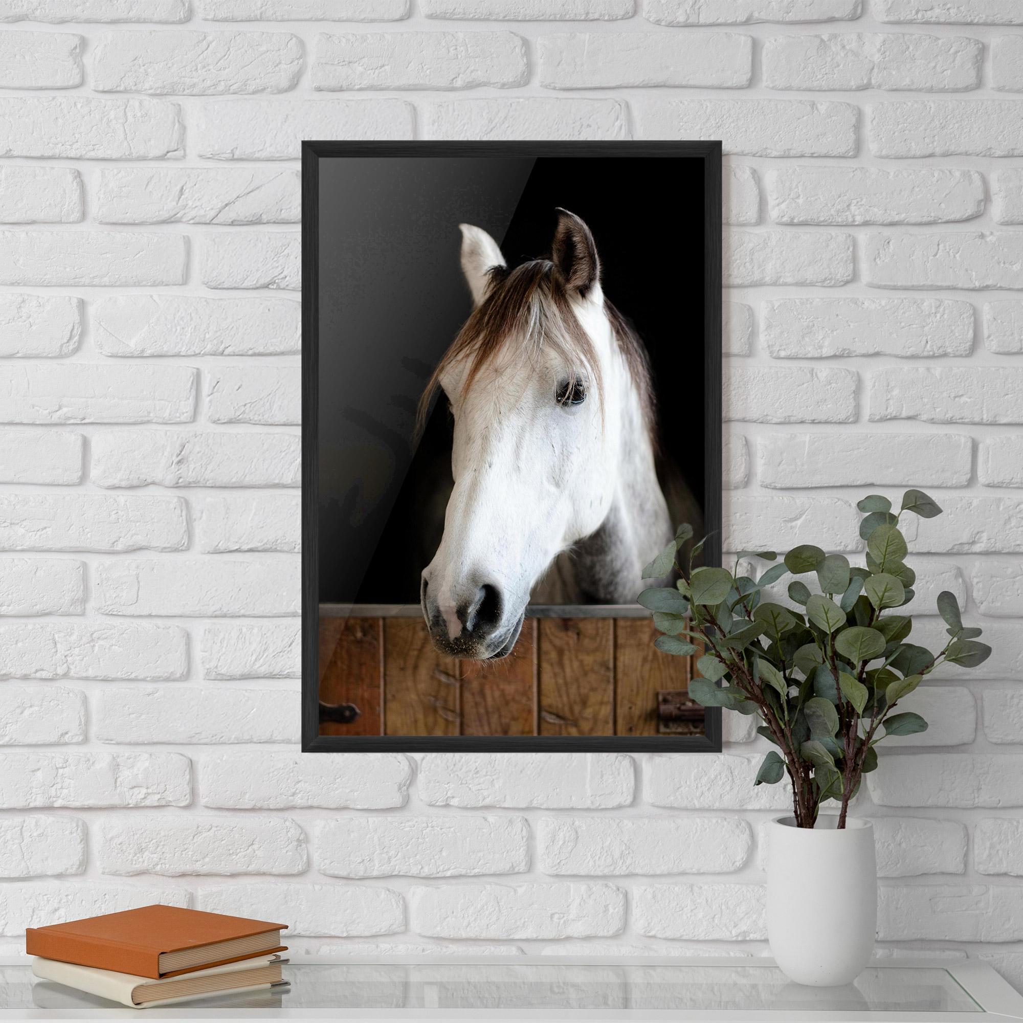 Poster Înrămat Grey Horse Head mockup 5