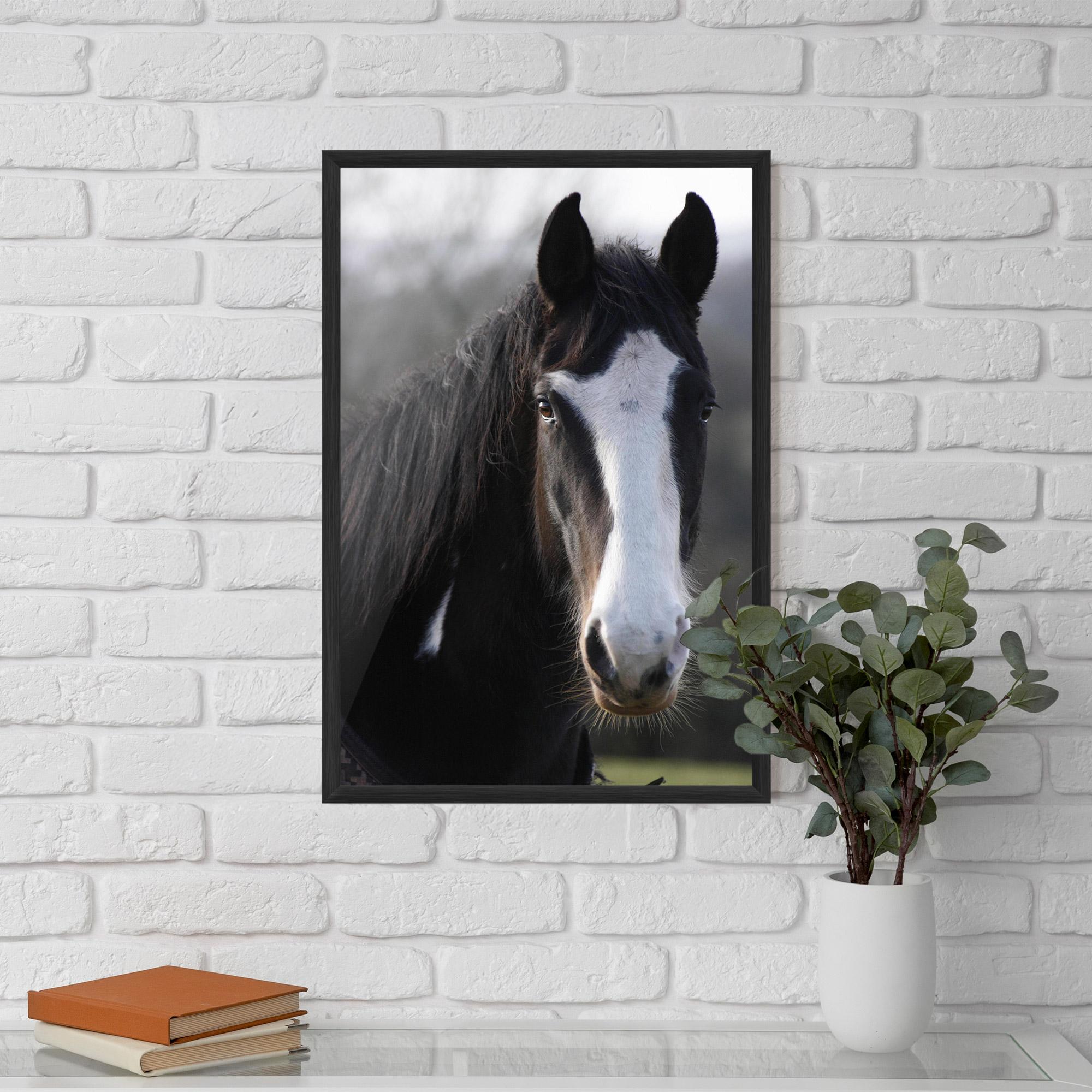 Poster Înrămat Horse Black Portrait mockup 5