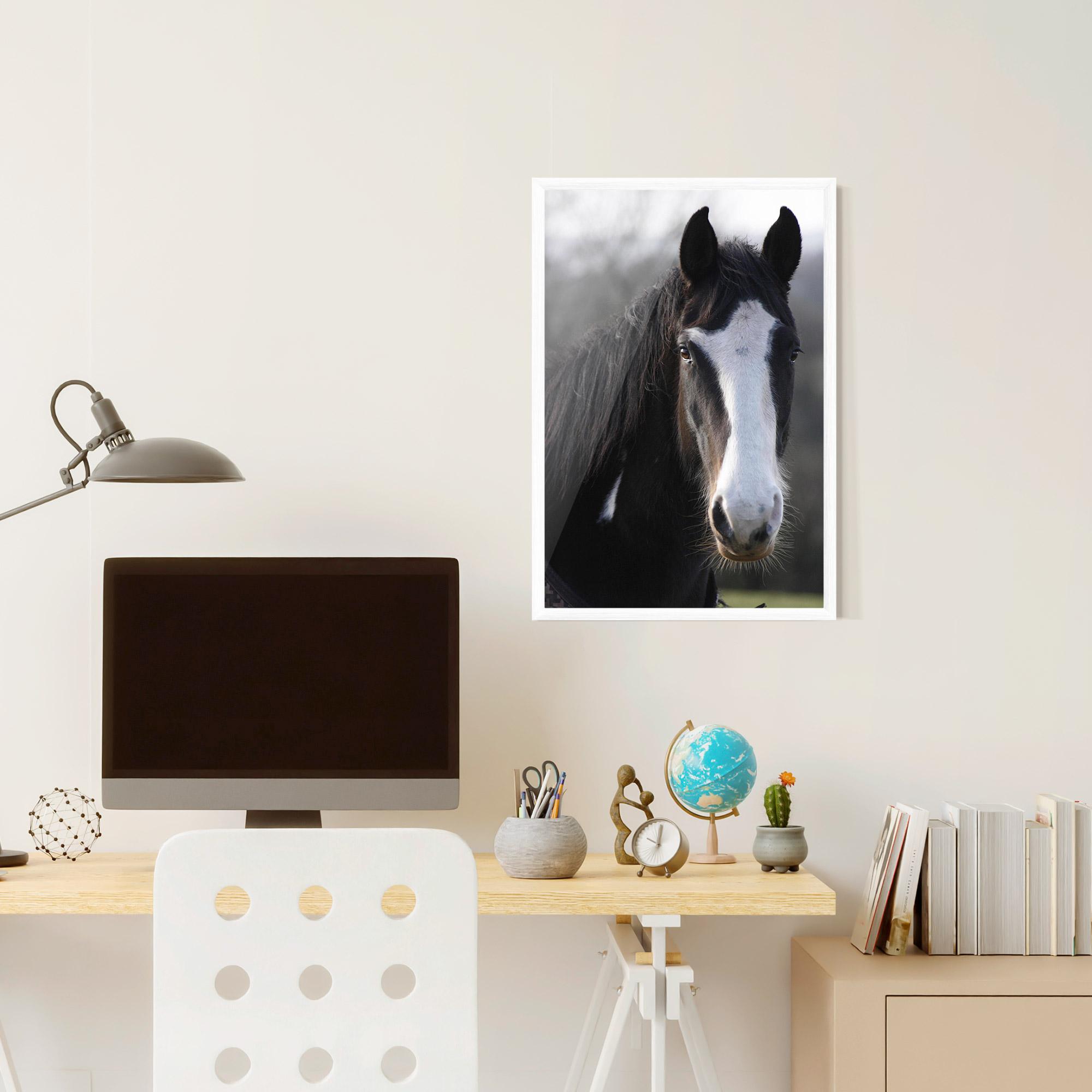 Poster Înrămat Horse Black Portrait mockup 6