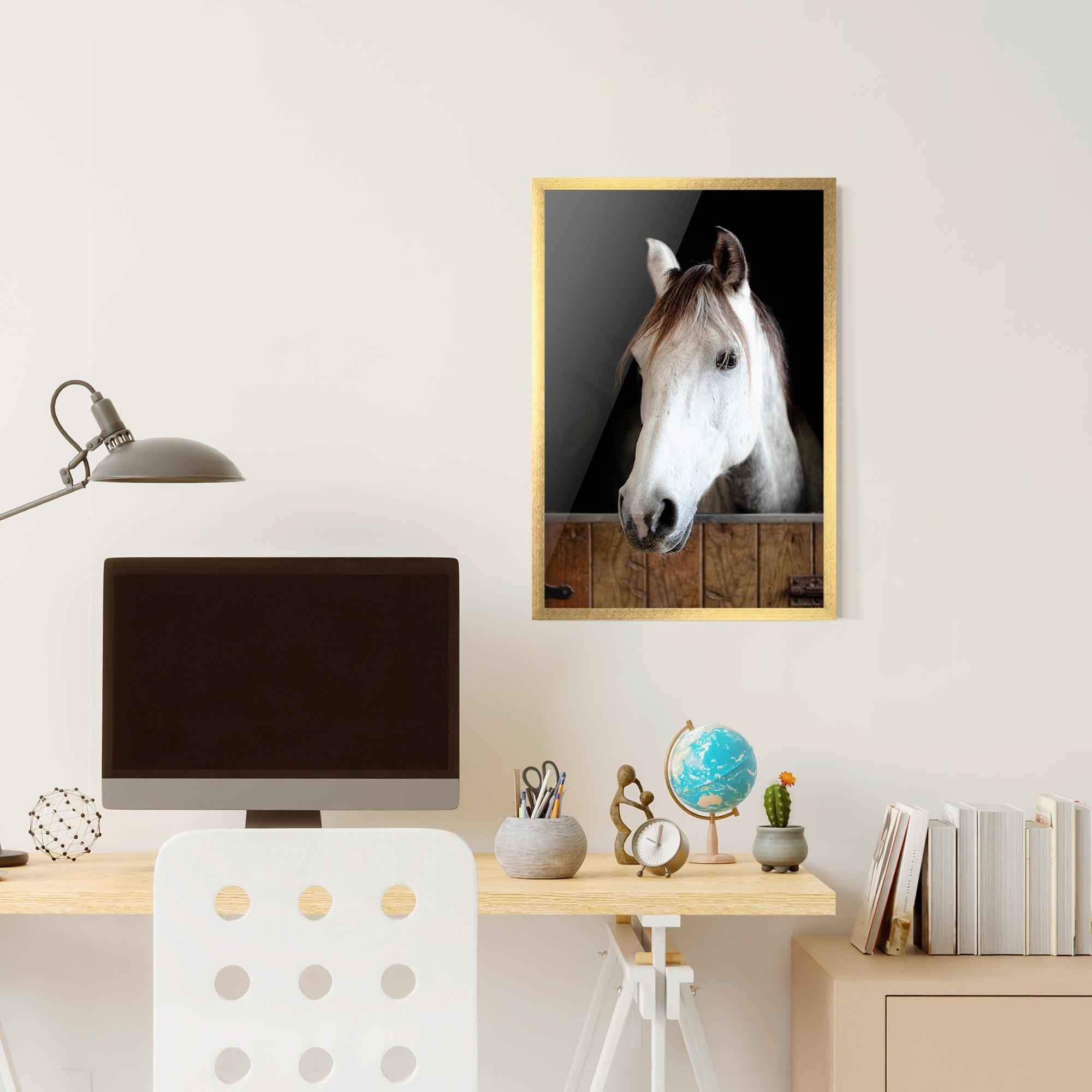 Poster Înrămat Grey Horse Head mockup 6