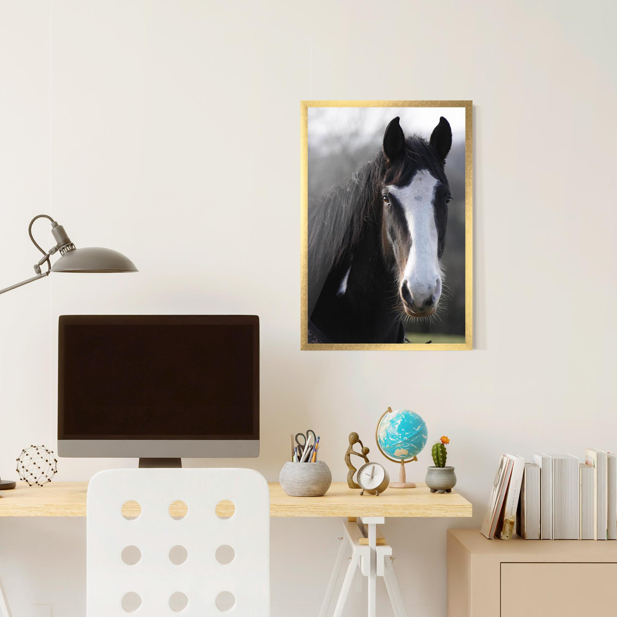 Poster Înrămat Horse Black Portrait mockup 6