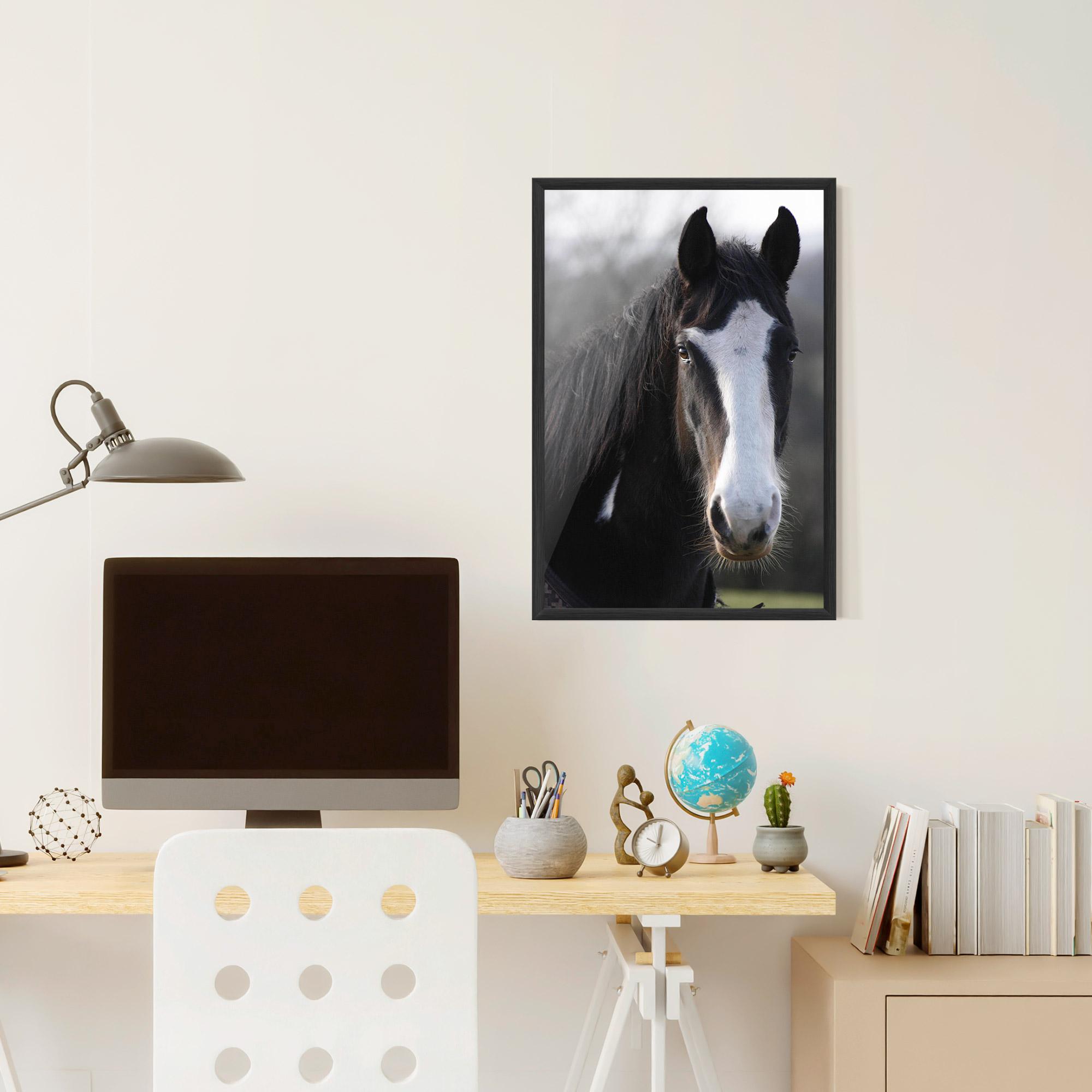 Poster Înrămat Horse Black Portrait mockup 6
