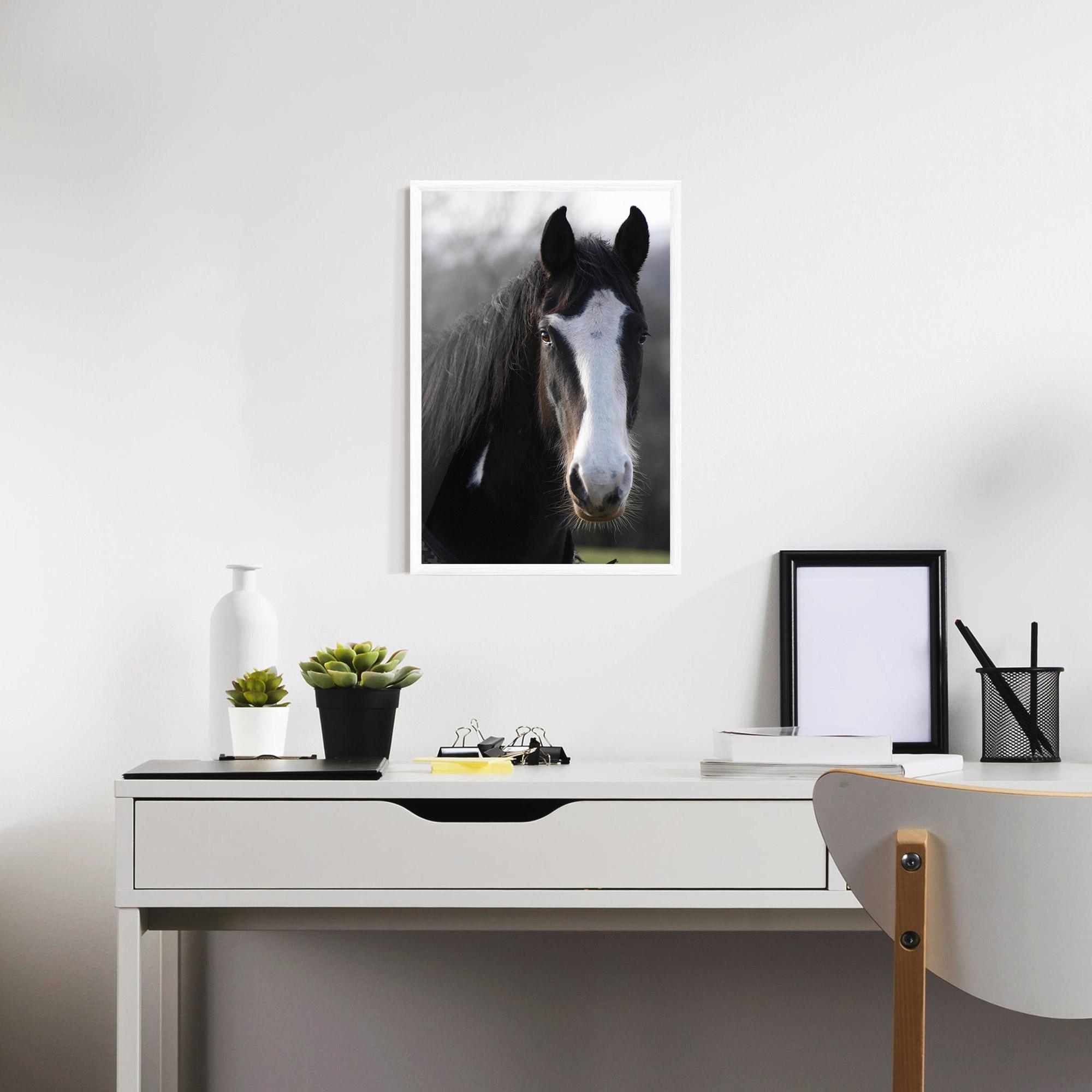 Poster Înrămat Horse Black Portrait mockup 7
