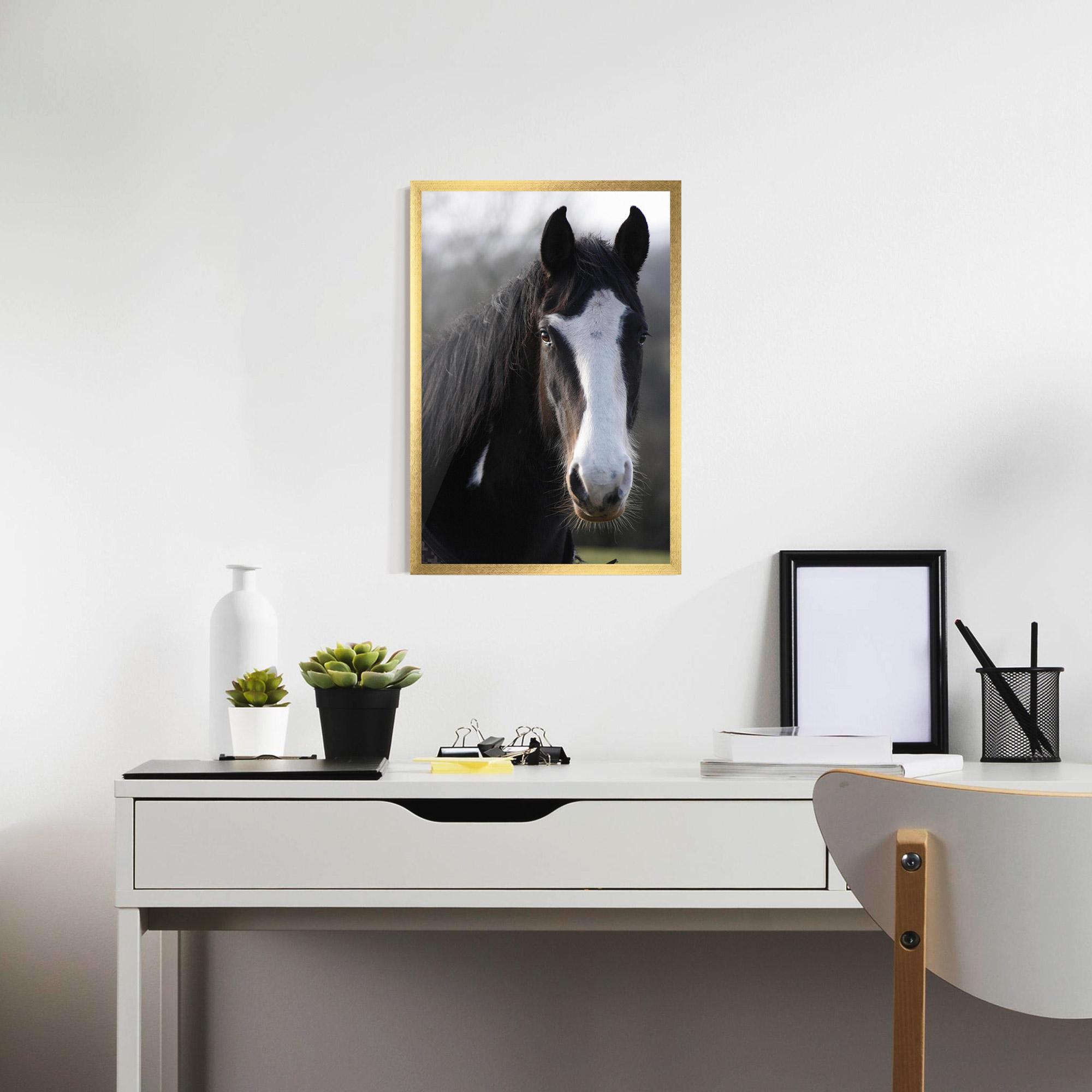 Poster Înrămat Horse Black Portrait mockup 7