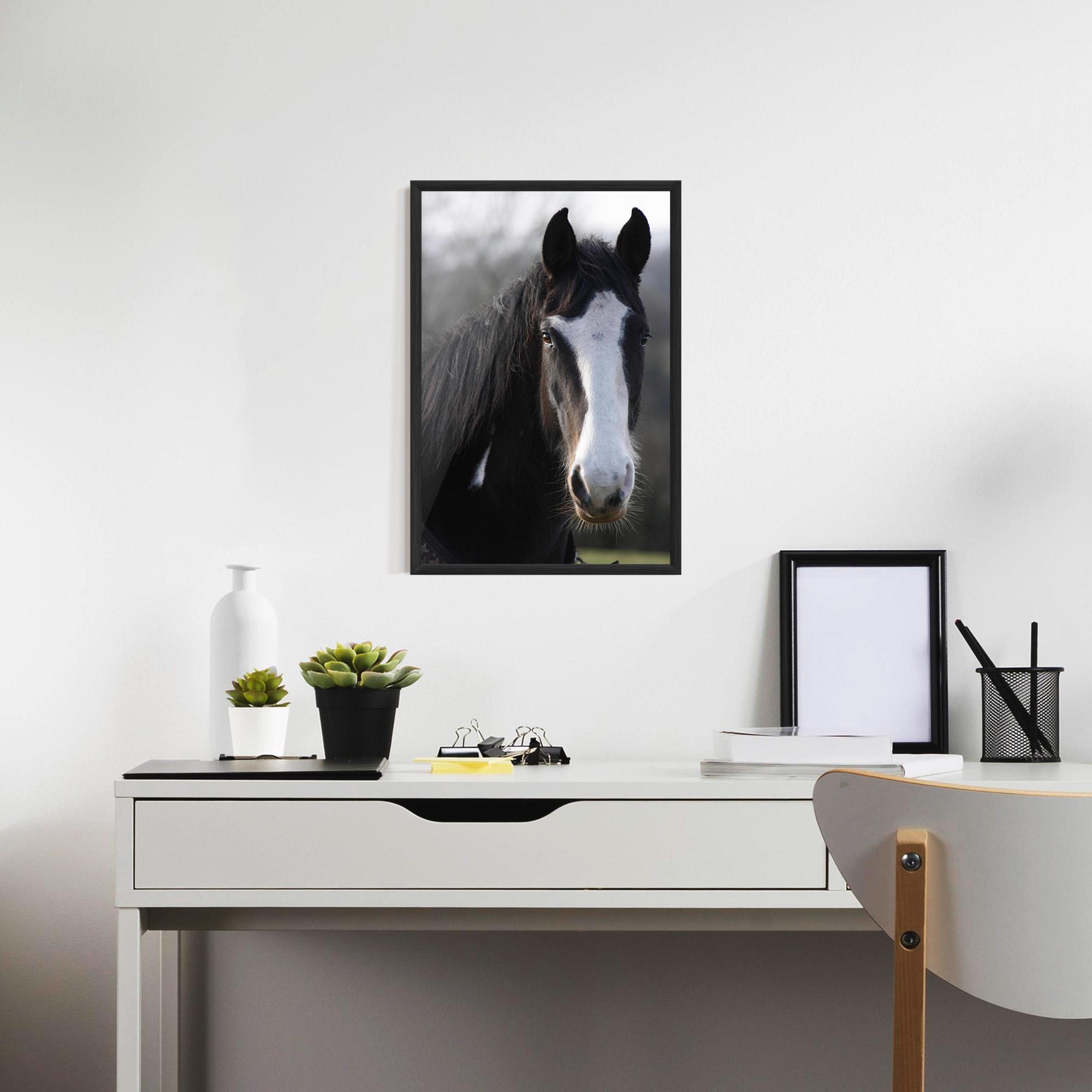 Poster Înrămat Horse Black Portrait mockup 7
