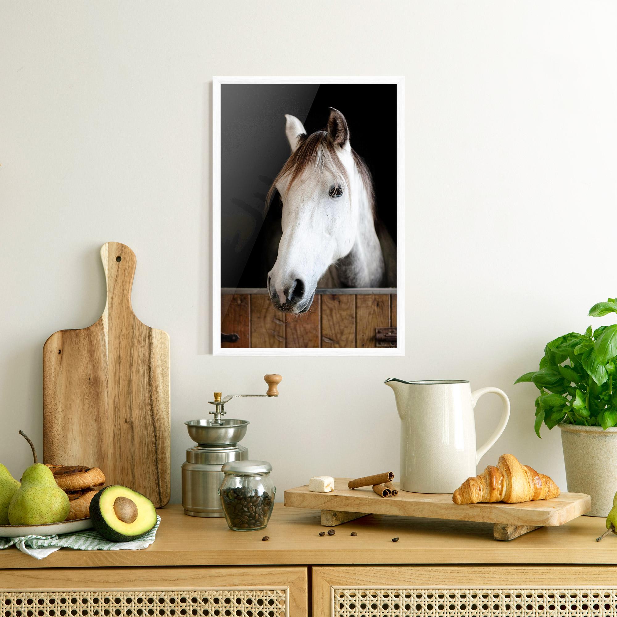 Poster Înrămat Grey Horse Head mockup 8