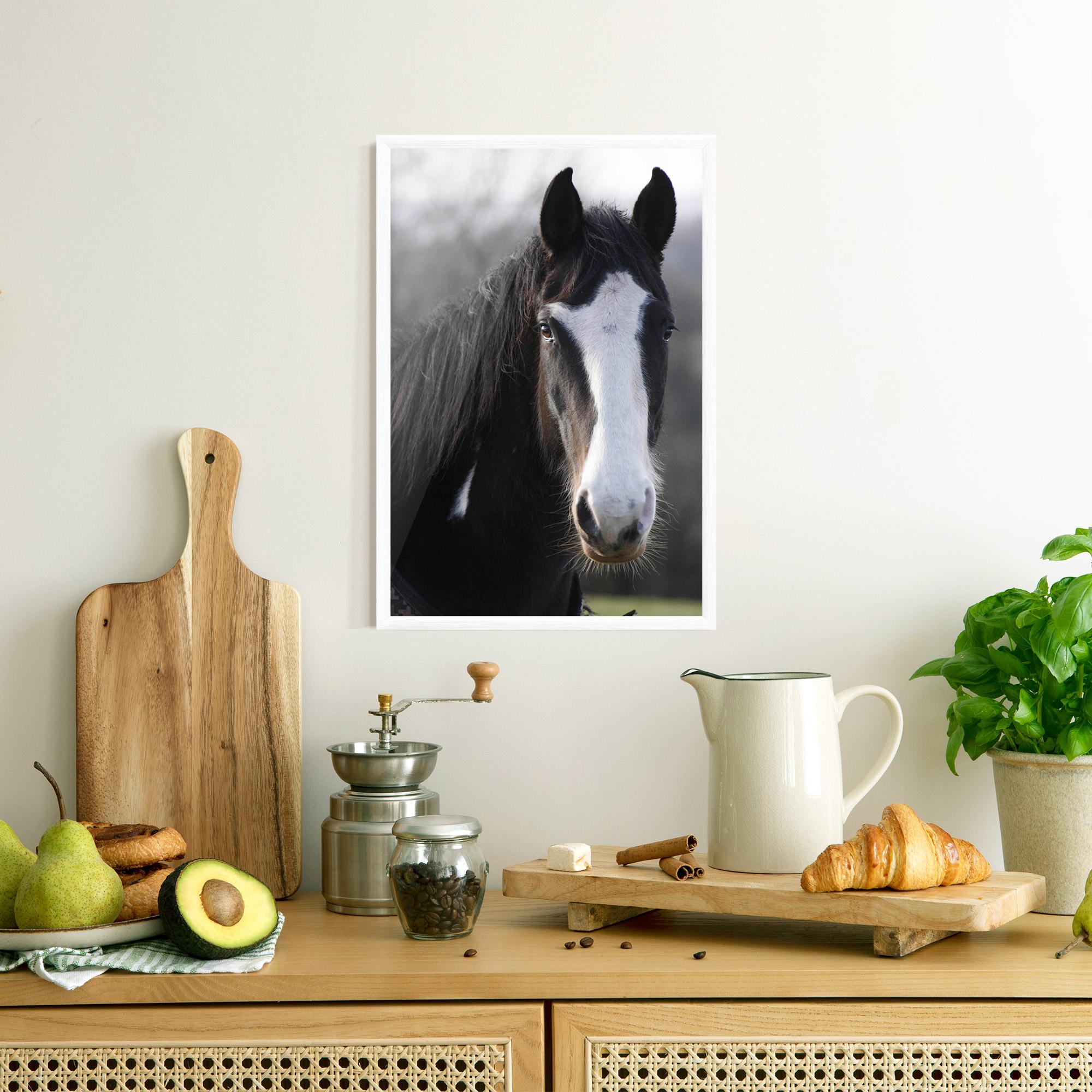 Poster Înrămat Horse Black Portrait mockup 8