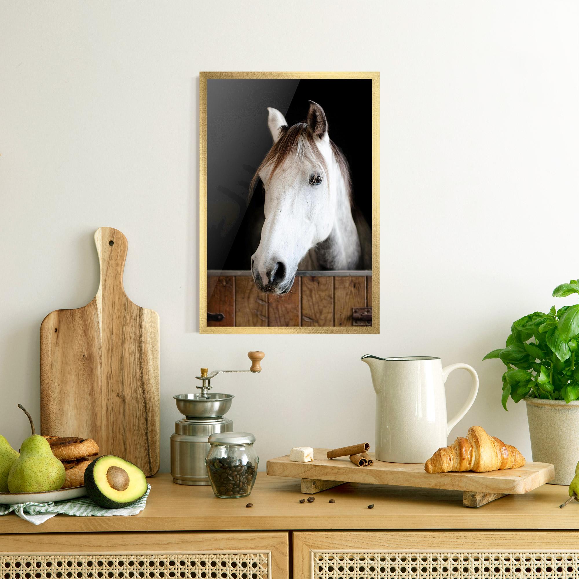 Poster Înrămat Grey Horse Head mockup 8
