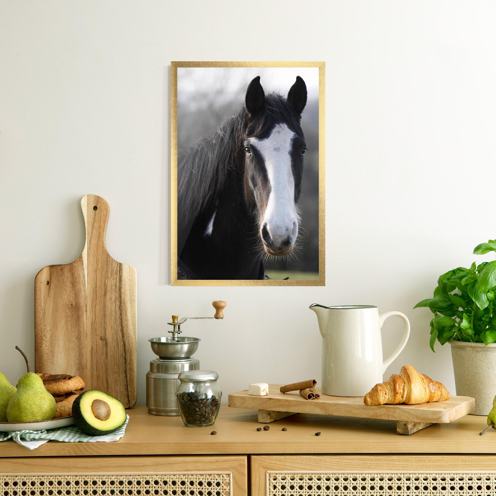 Poster Înrămat Horse Black Portrait mockup 8