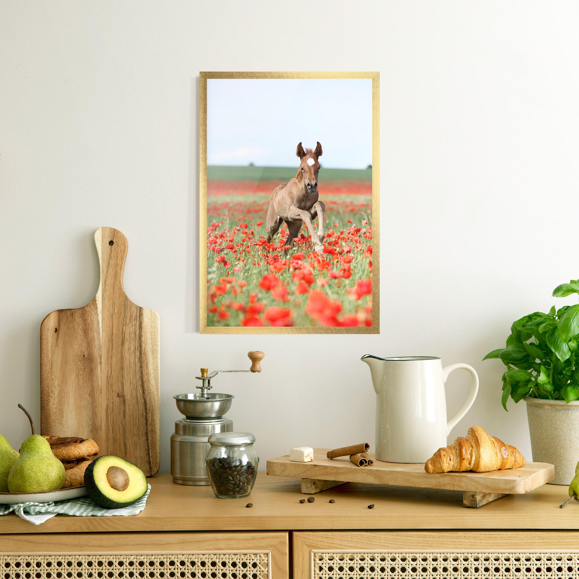 Poster Înrămat Red Flowers Horse mockup 8