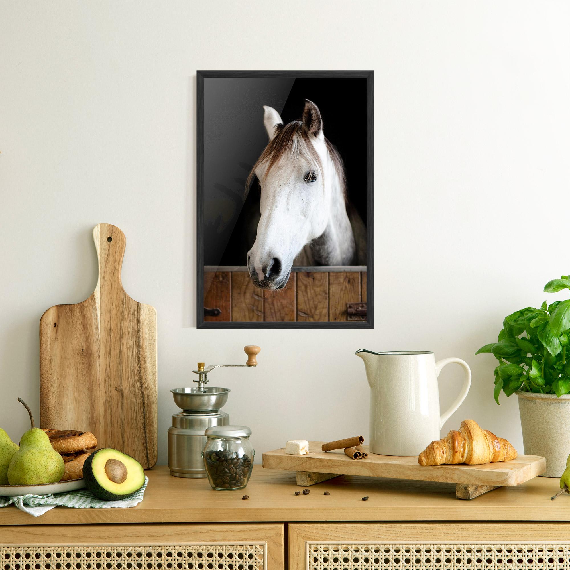 Poster Înrămat Grey Horse Head mockup 8