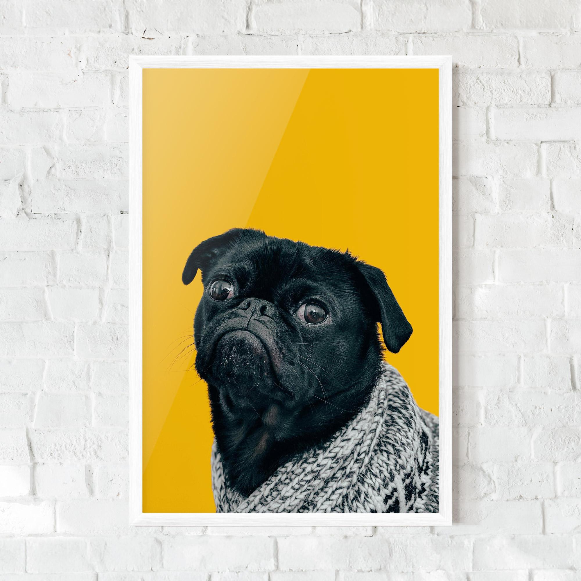 Poster Înrămat Black Pug mockup 0