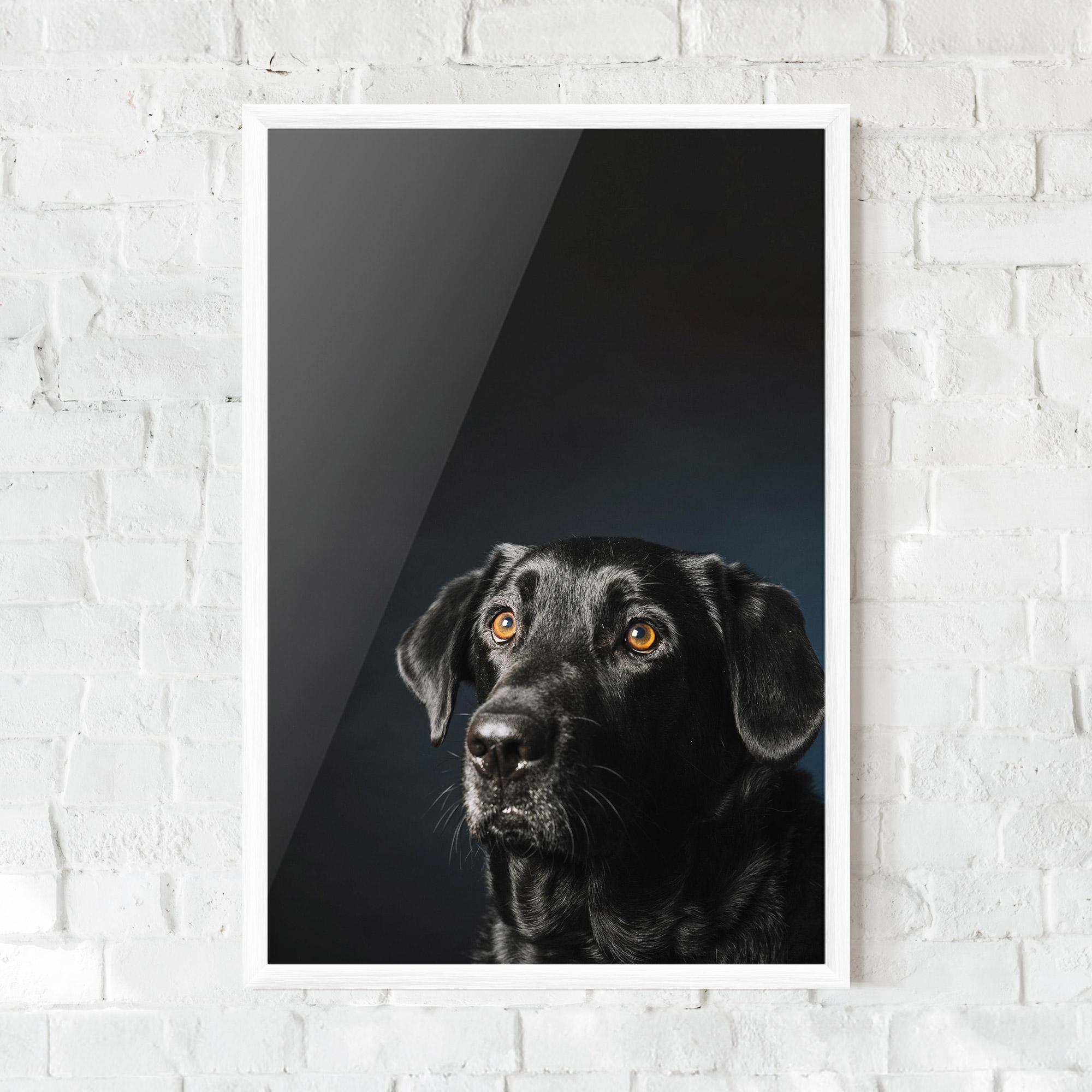 Poster Înrămat Brown Eyes Dog mockup 0