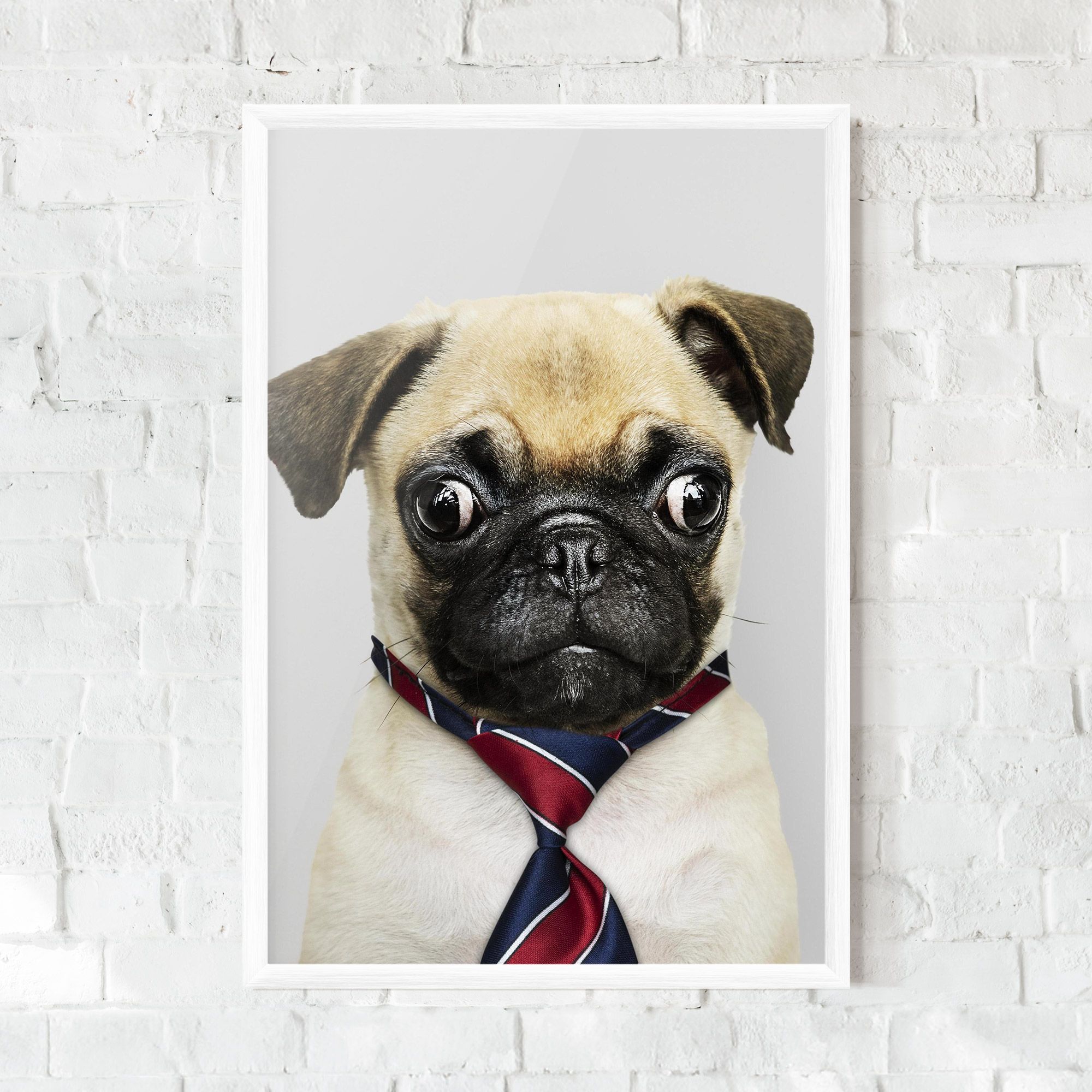Business Pug mockup 0