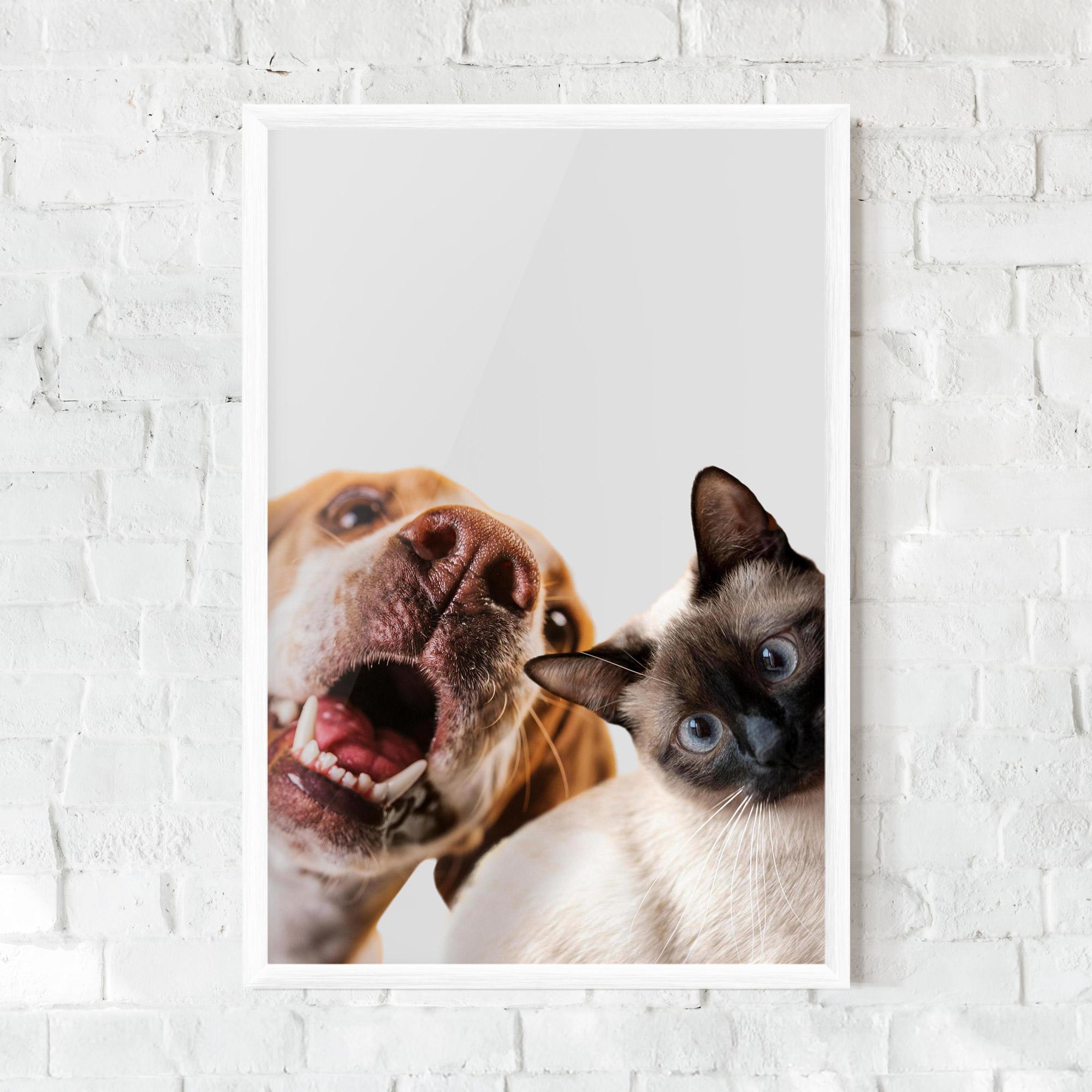 Poster Înrămat Cute Pet Collage mockup 0