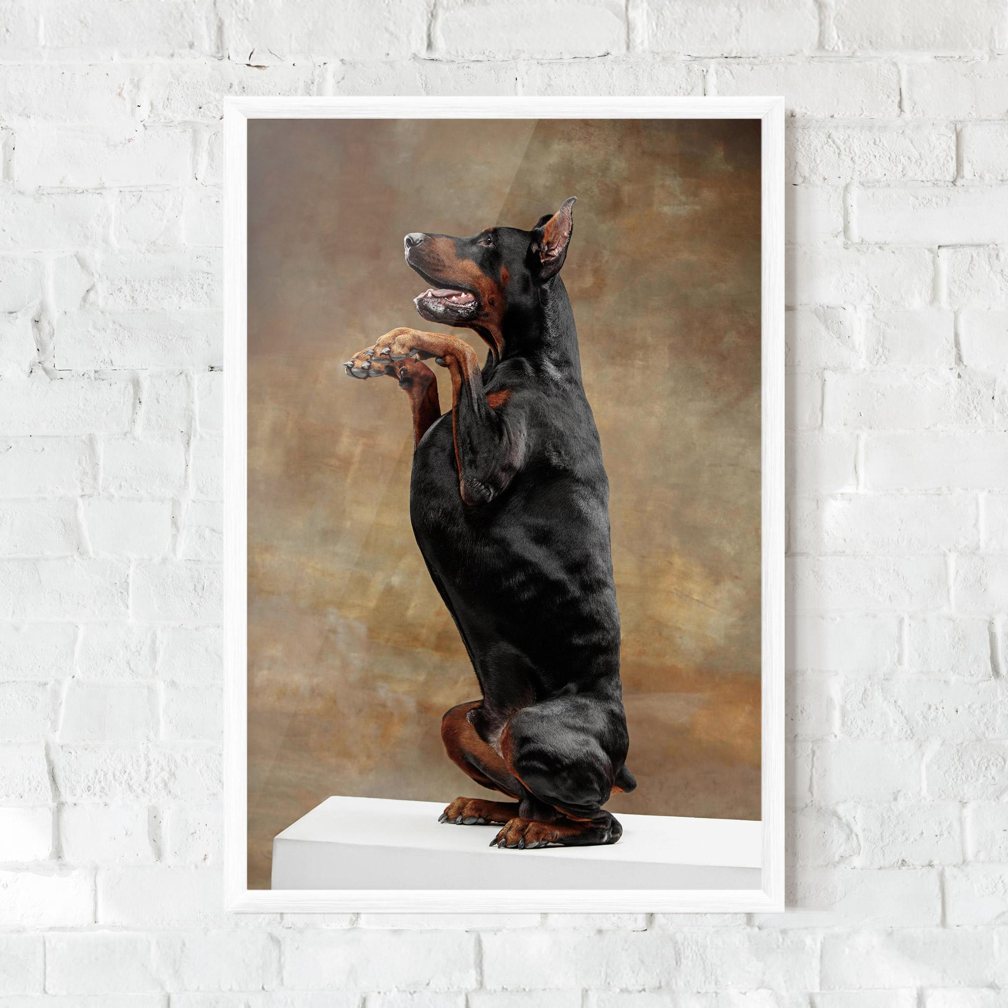 Poster Înrămat Doberman Standing mockup 0