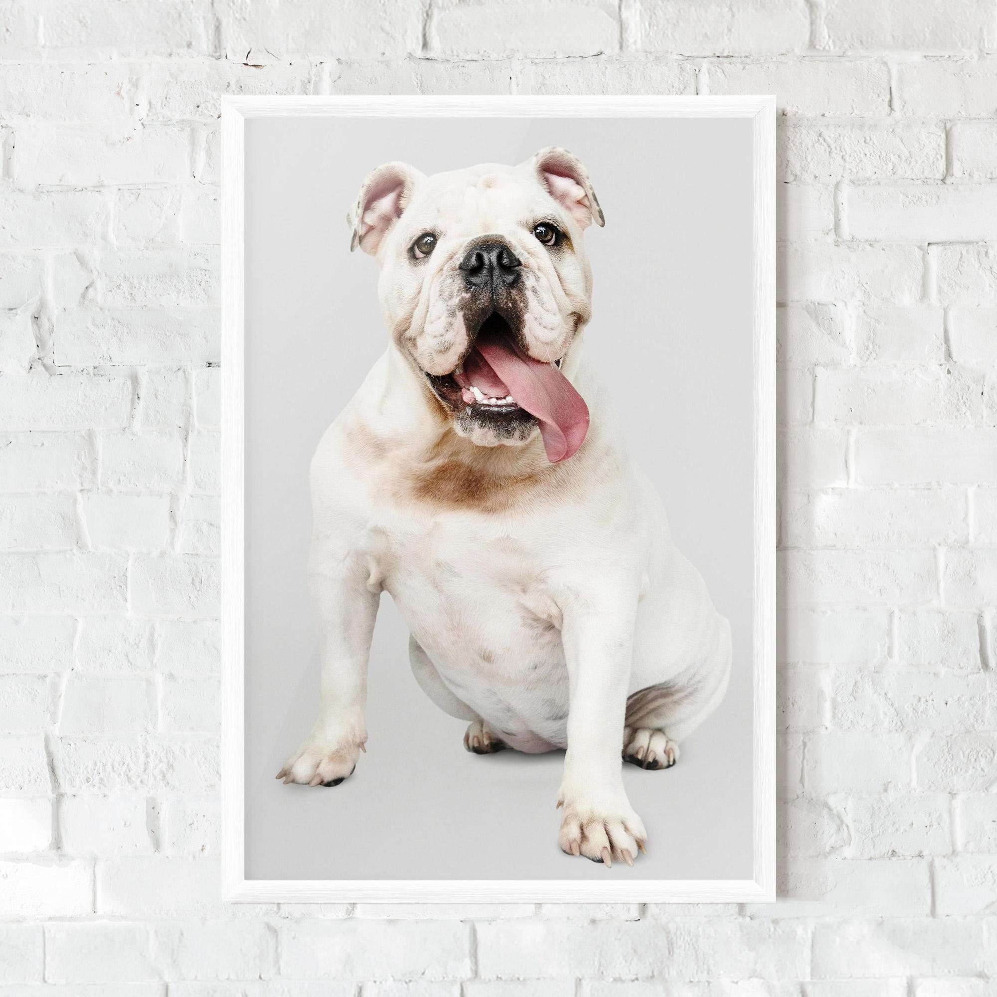 Poster Înrămat Happy White Dog mockup 0