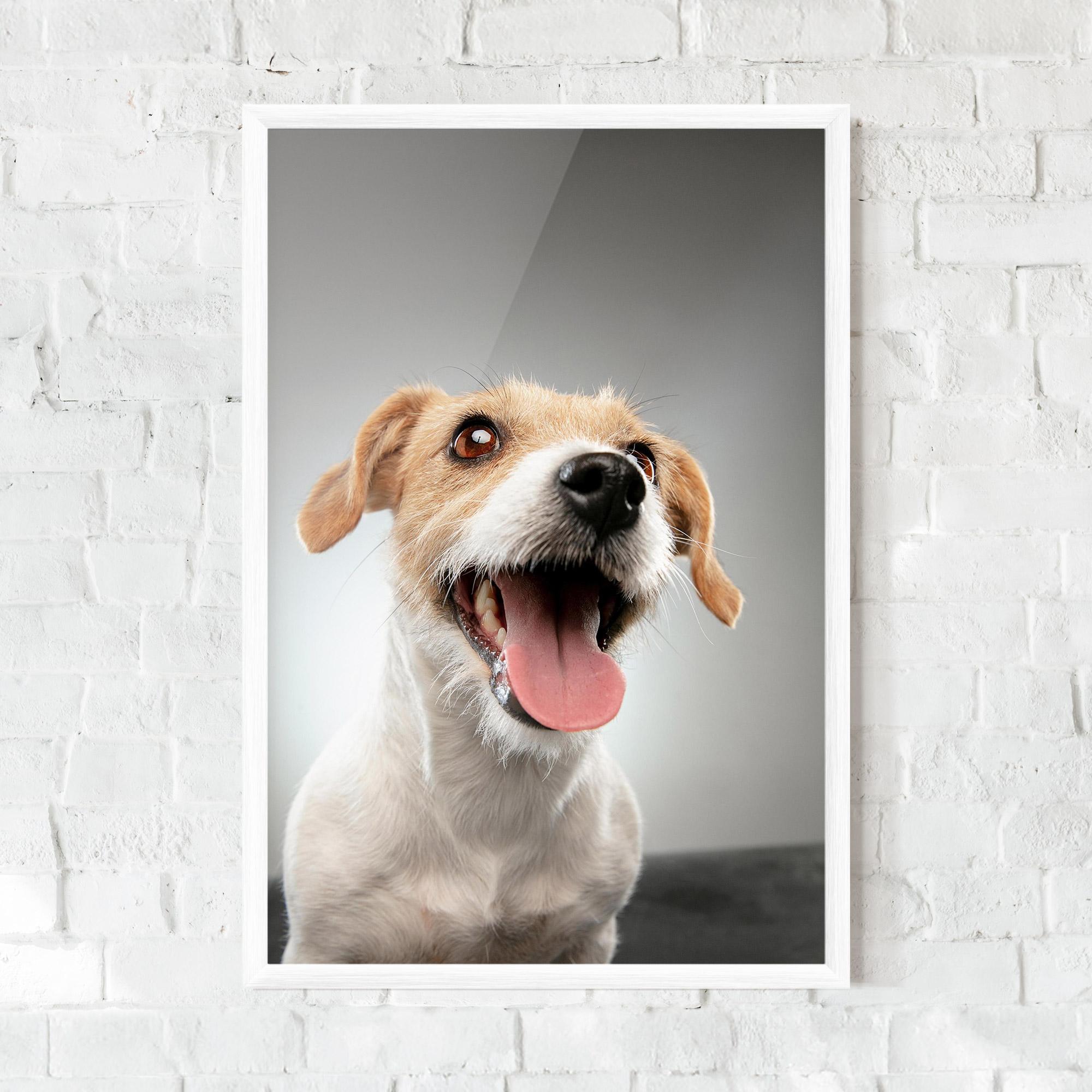 Poster Înrămat Jack Russell Terrier mockup 0