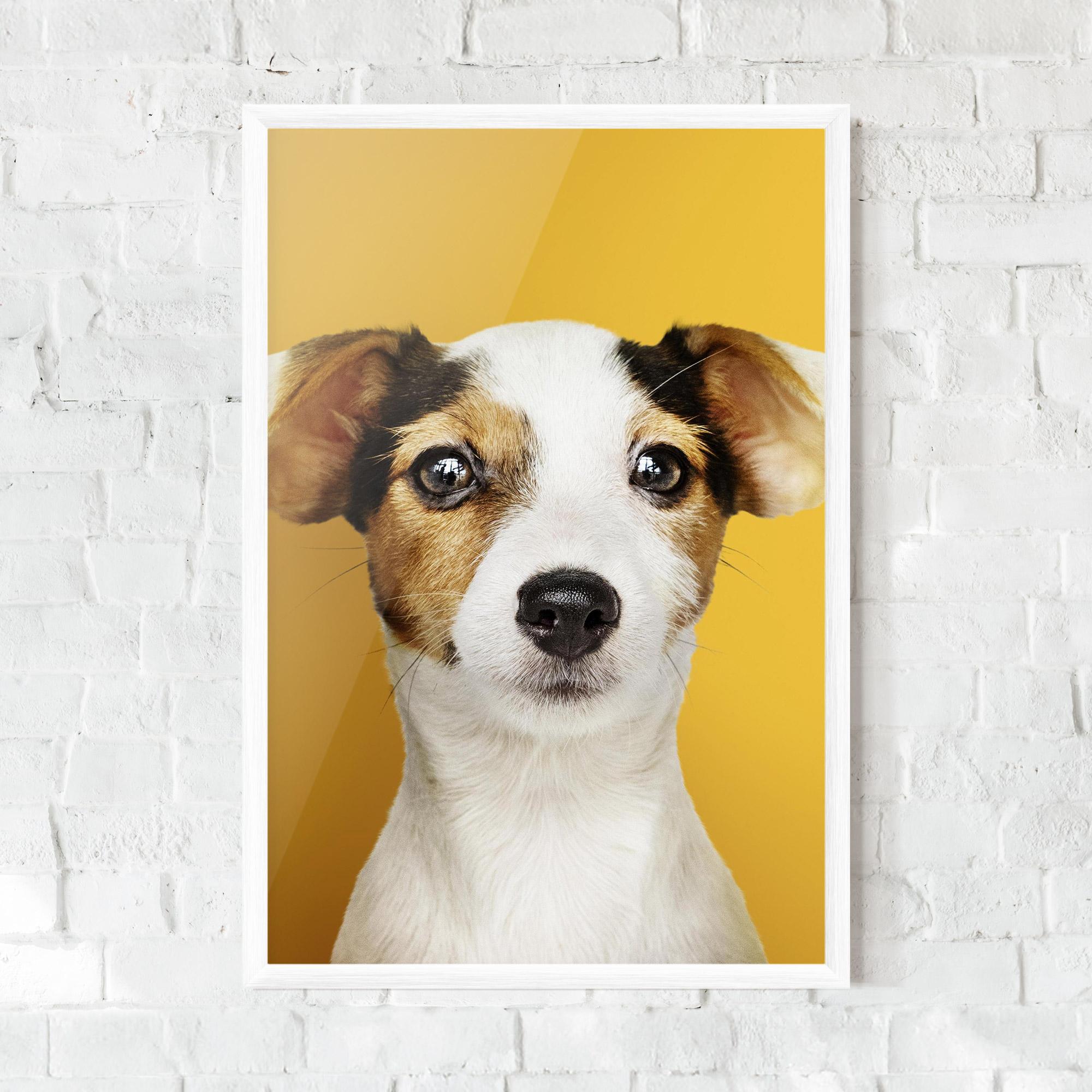 Poster Înrămat Puppy On Yellow mockup 0