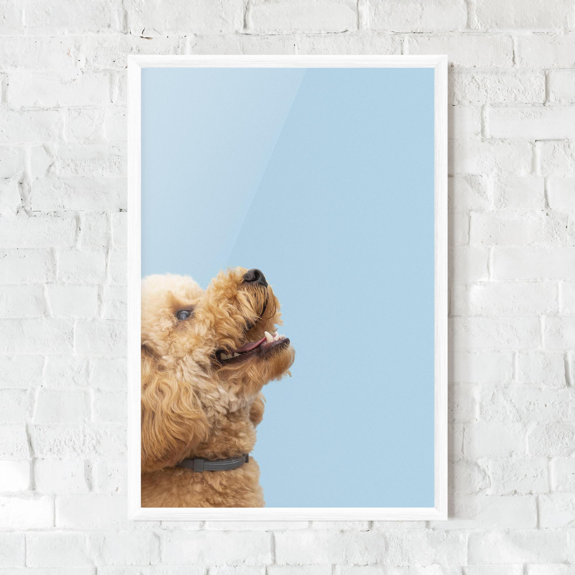 Poster Înrămat Yellow Cute Dog mockup 0