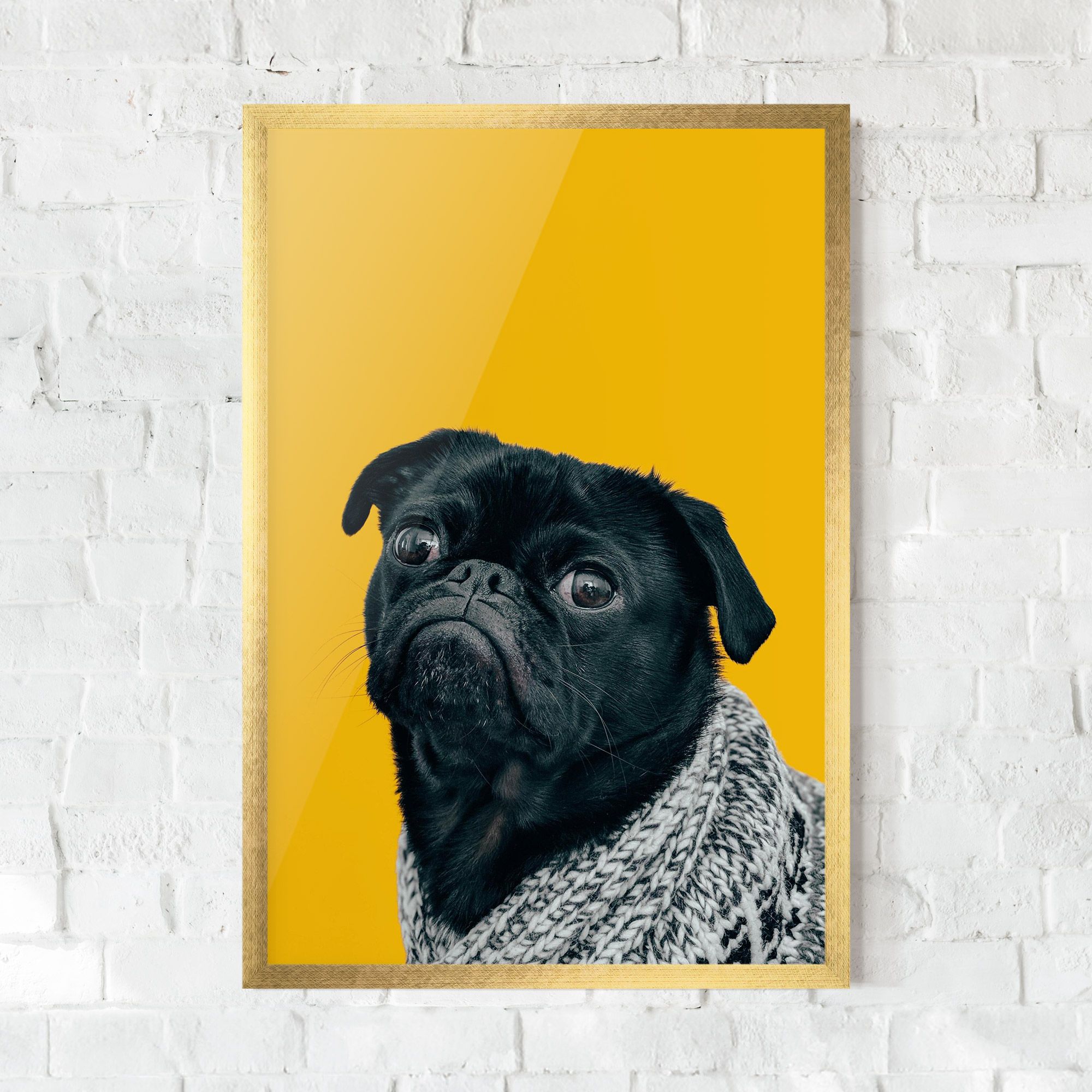 Black Pug mockup 0