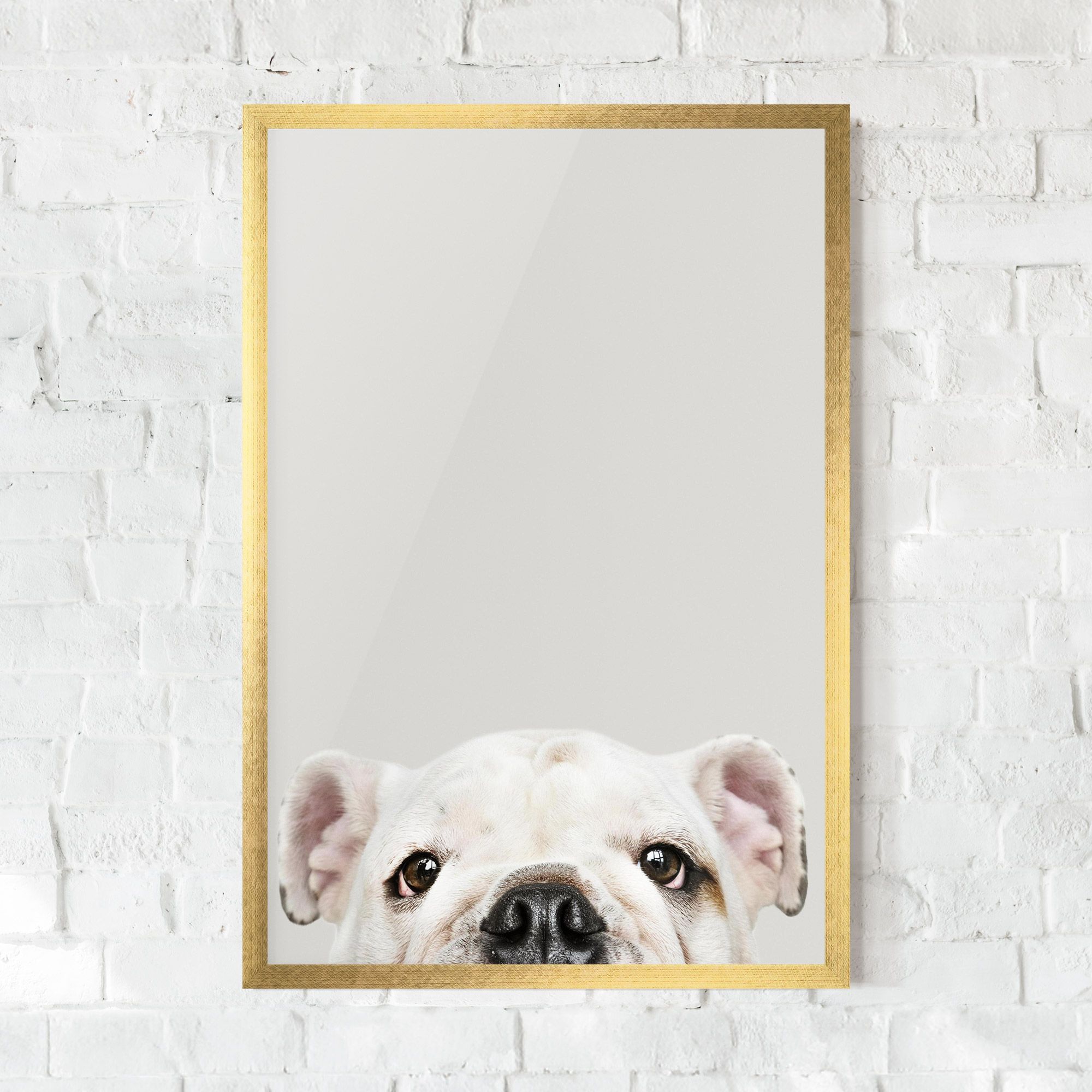 Bulldog Eyes mockup 0