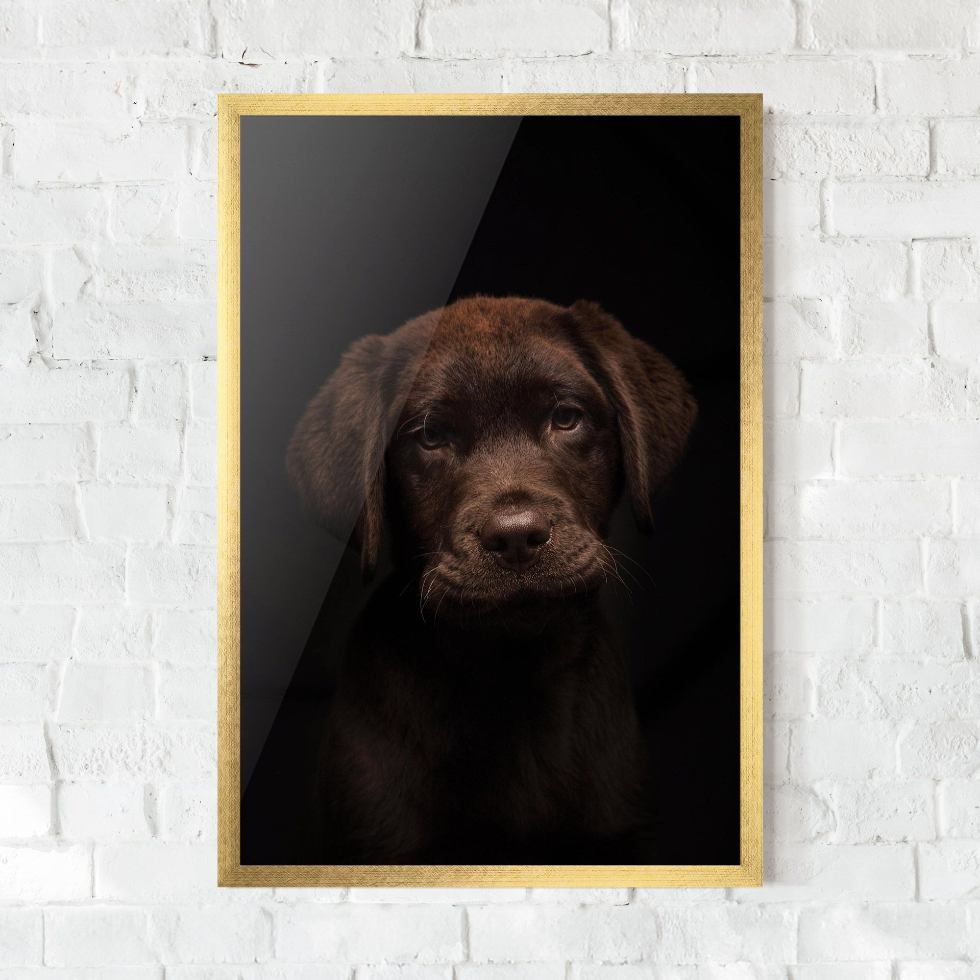 Chocolate Labrador mockup 0