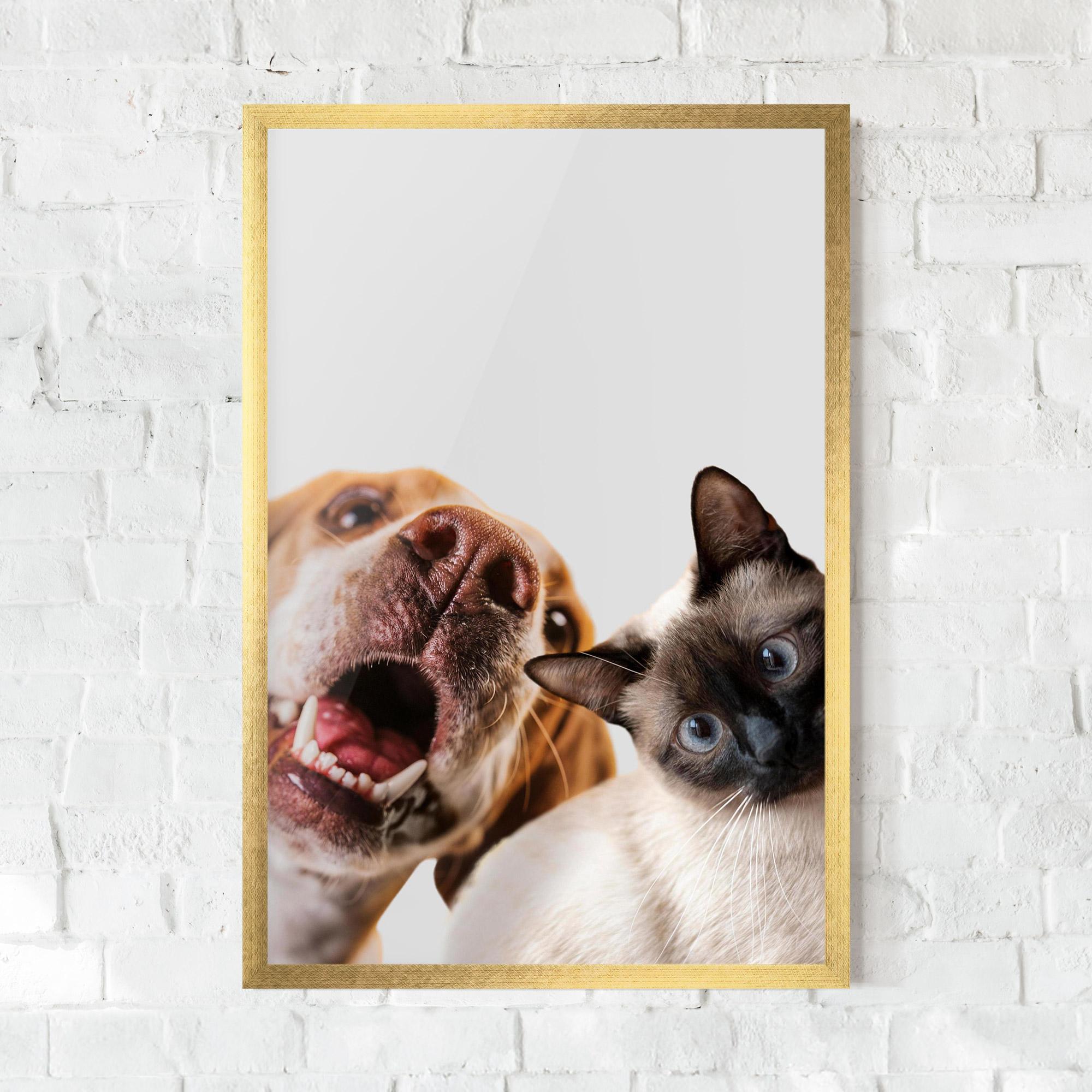 Poster Înrămat Cute Pet Collage mockup 0