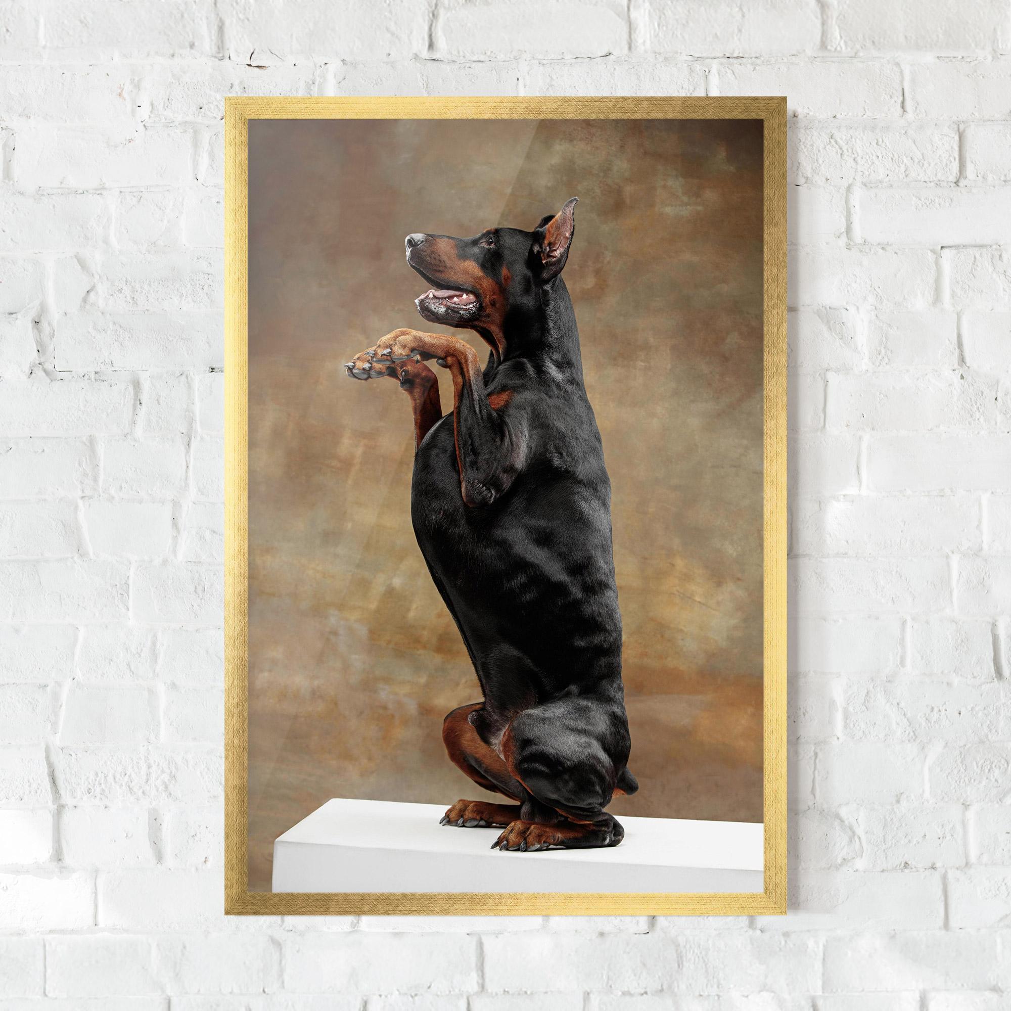 Poster Înrămat Doberman Standing mockup 0