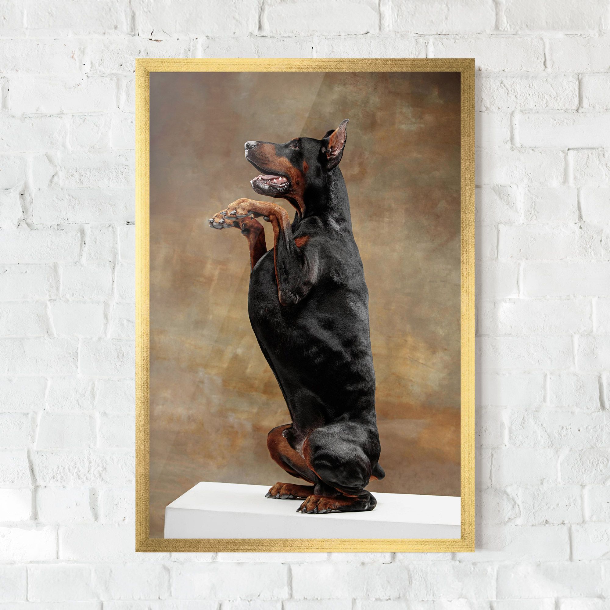 Doberman Standing mockup 0
